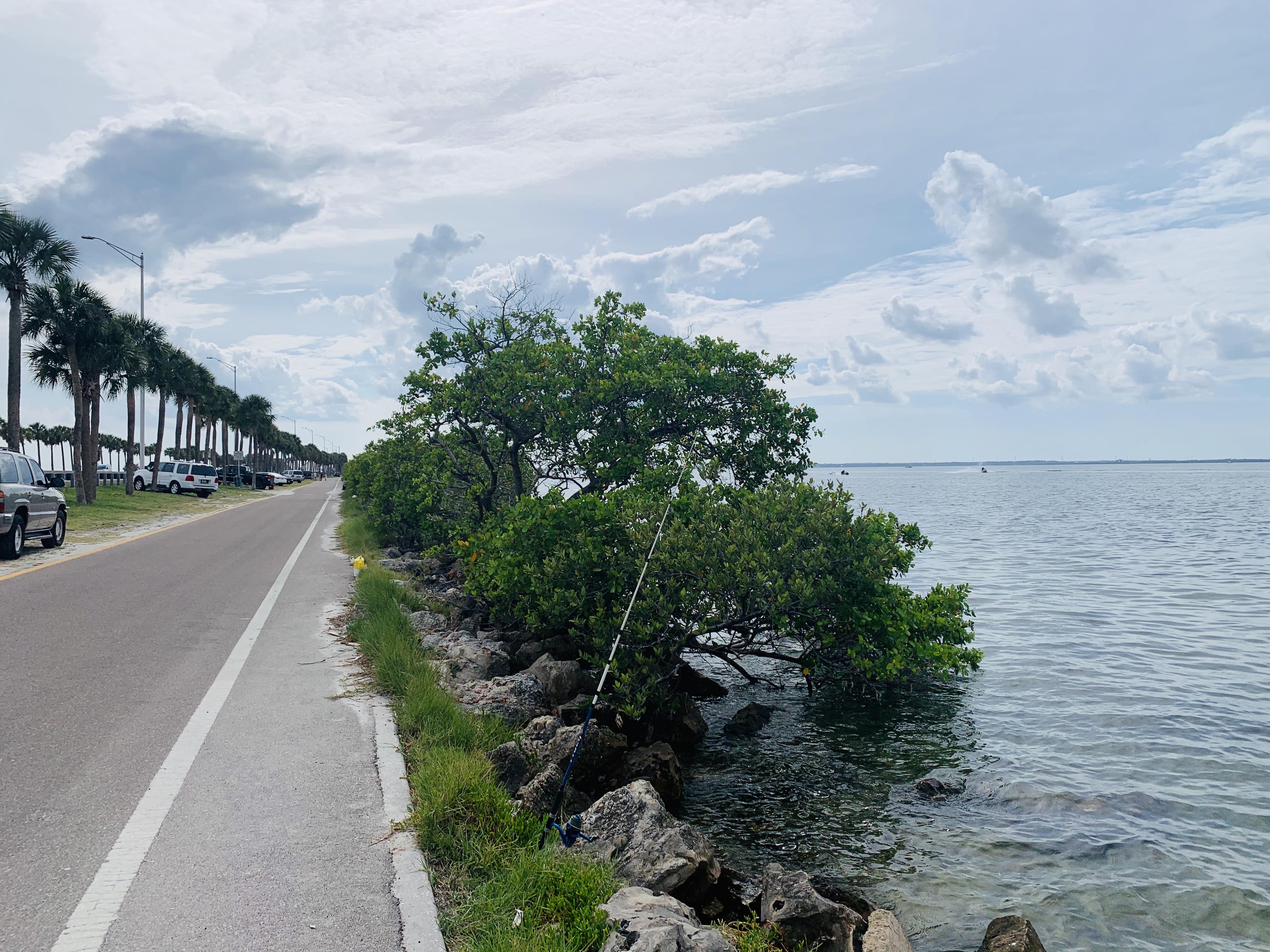 Courtney Campbell Causeway, Tampa, Fl. spot to fish and swim