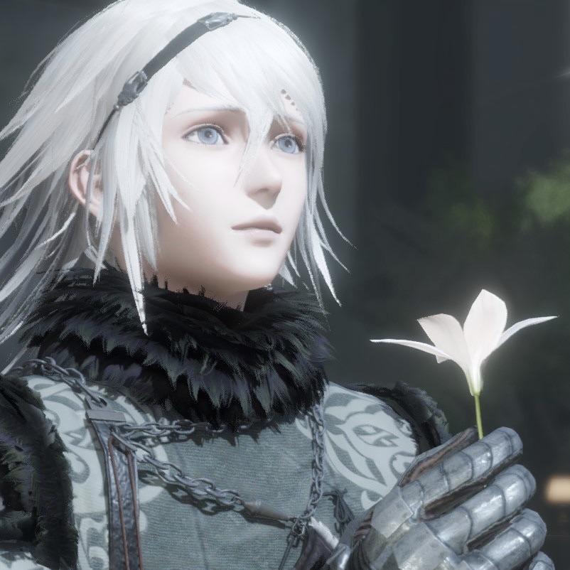 ¿What do you Think of Nier as a Protagonist and How do you Feel about