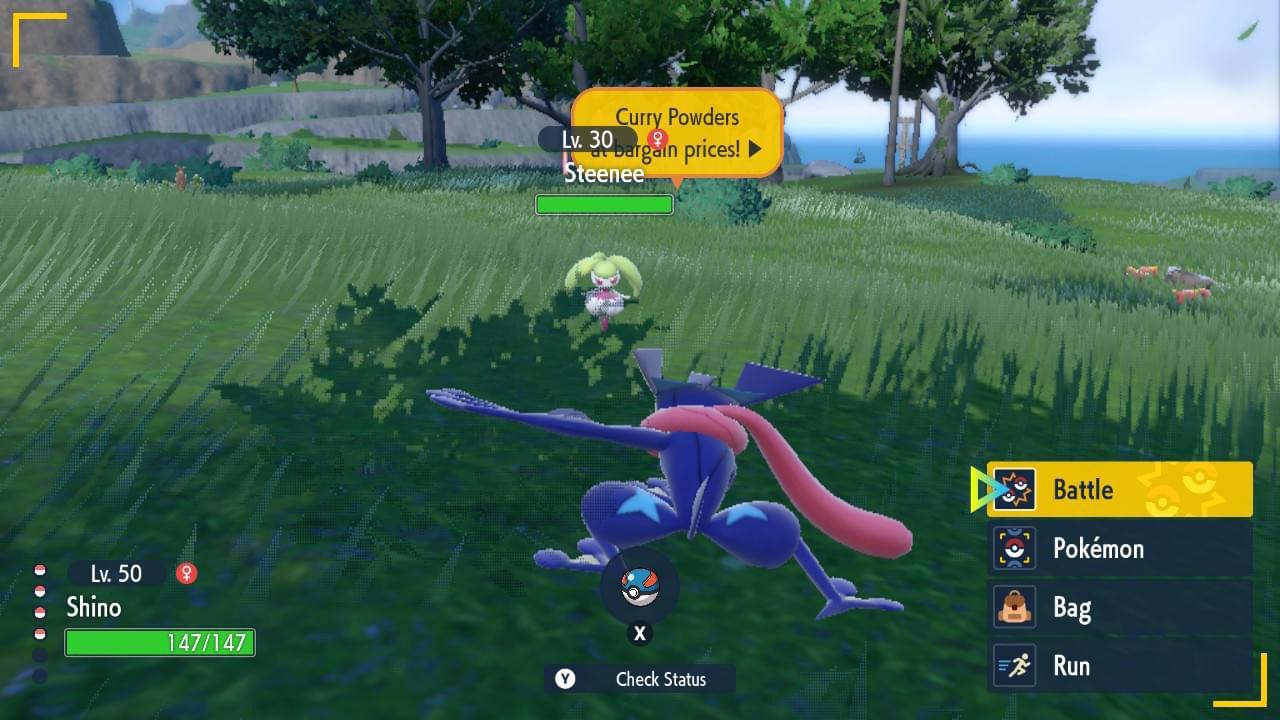 CURRY POWDERS AT BARGAIN PRICES! r/PokemonScarletViolet