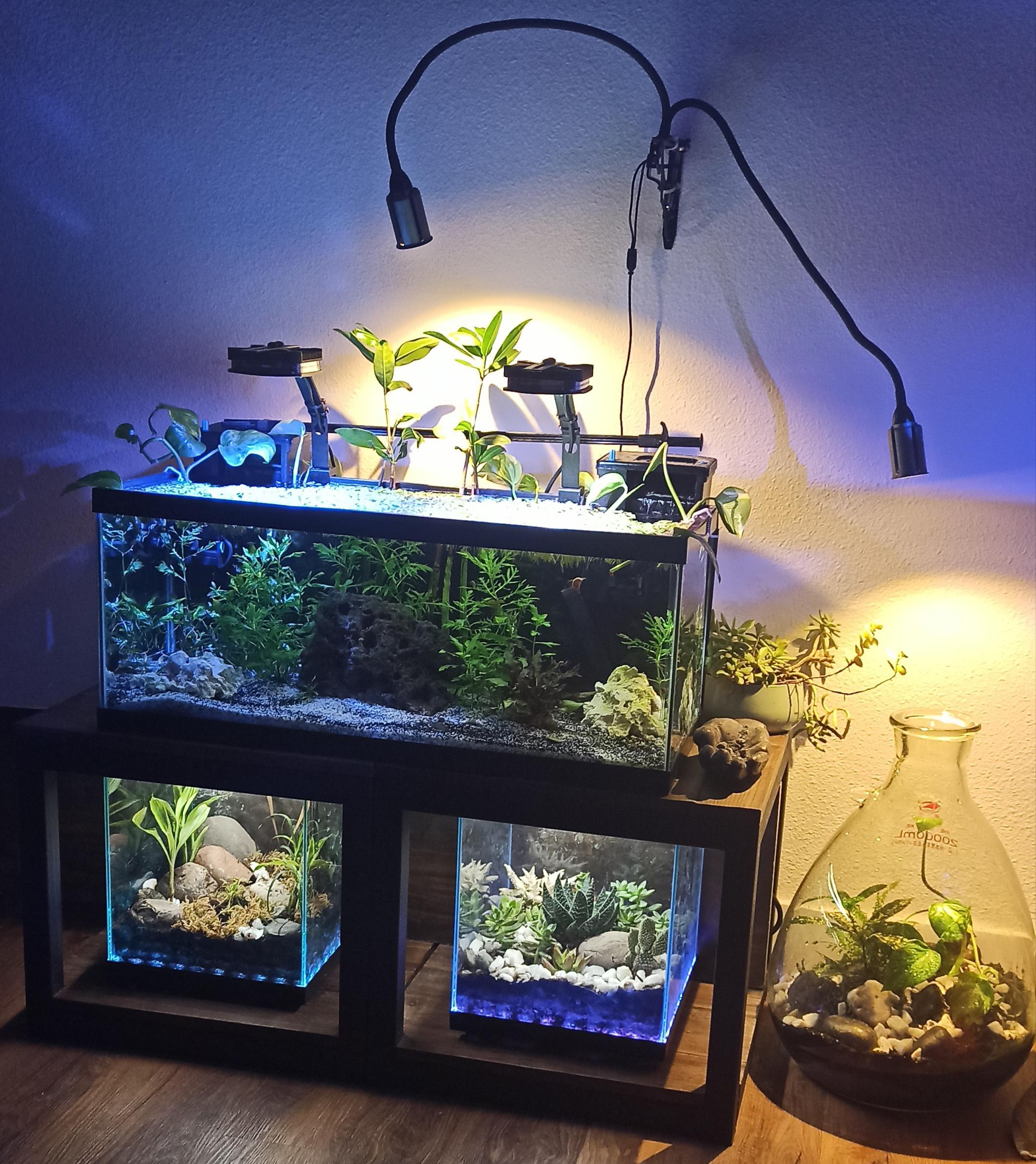 Aquarium & Terrarium project r/Aquariums