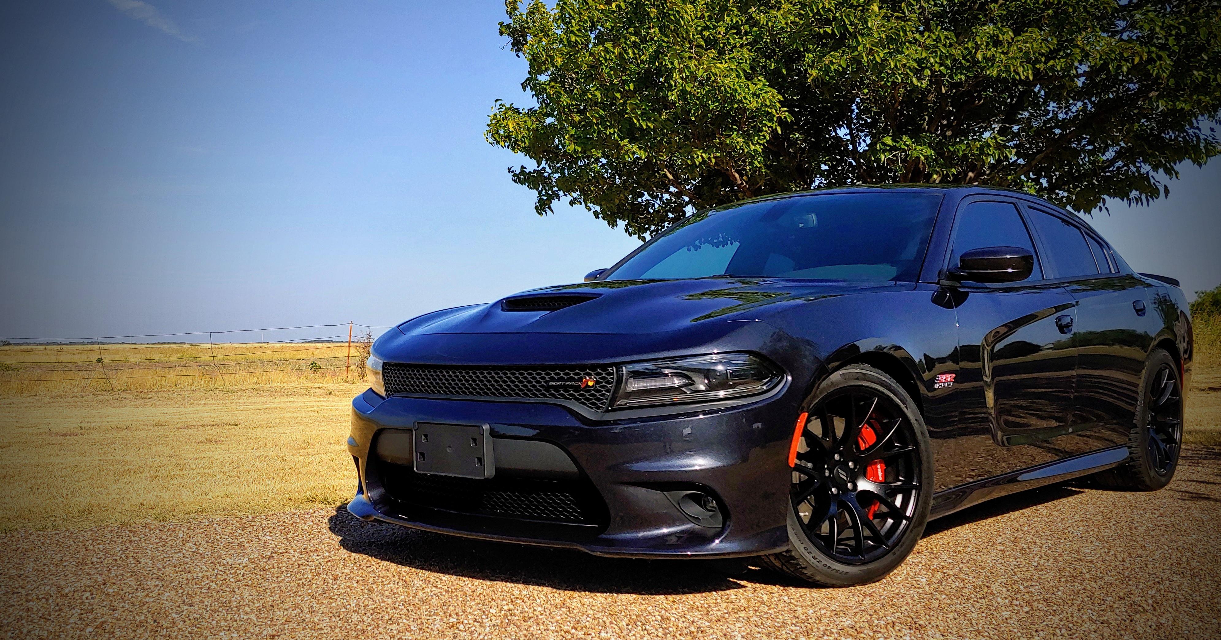 My 2018 Scat Pack, it's been a fun 6 months of ownership. r/Charger