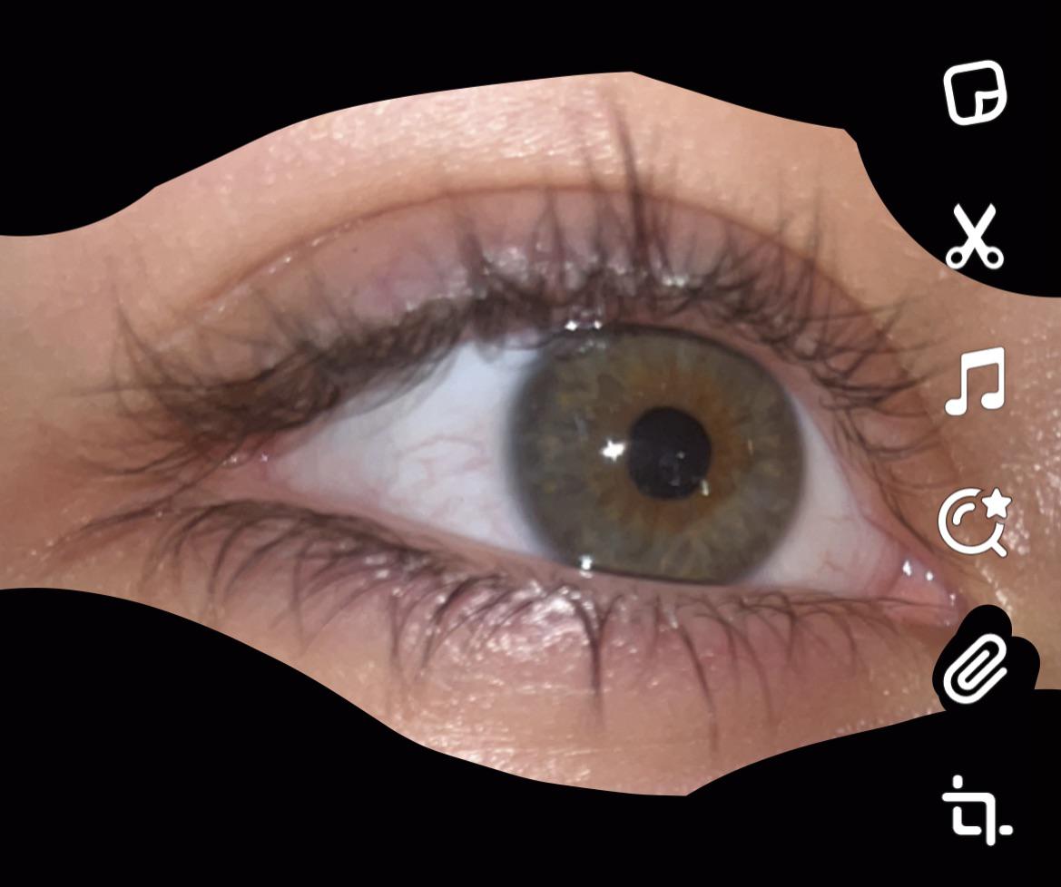 What Color eyes do I have? eyecolor