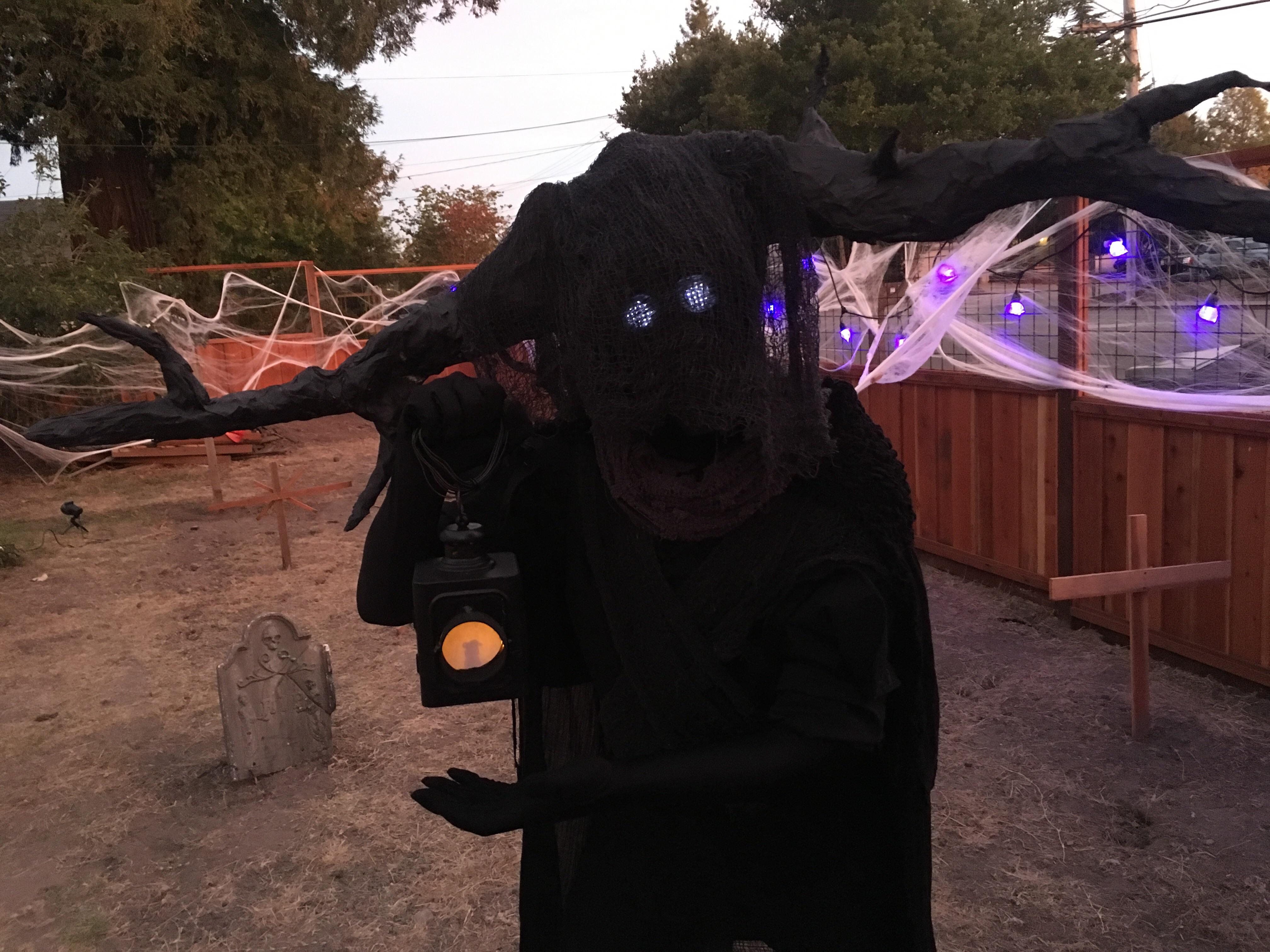My Beast Halloween costume r/overthegardenwall