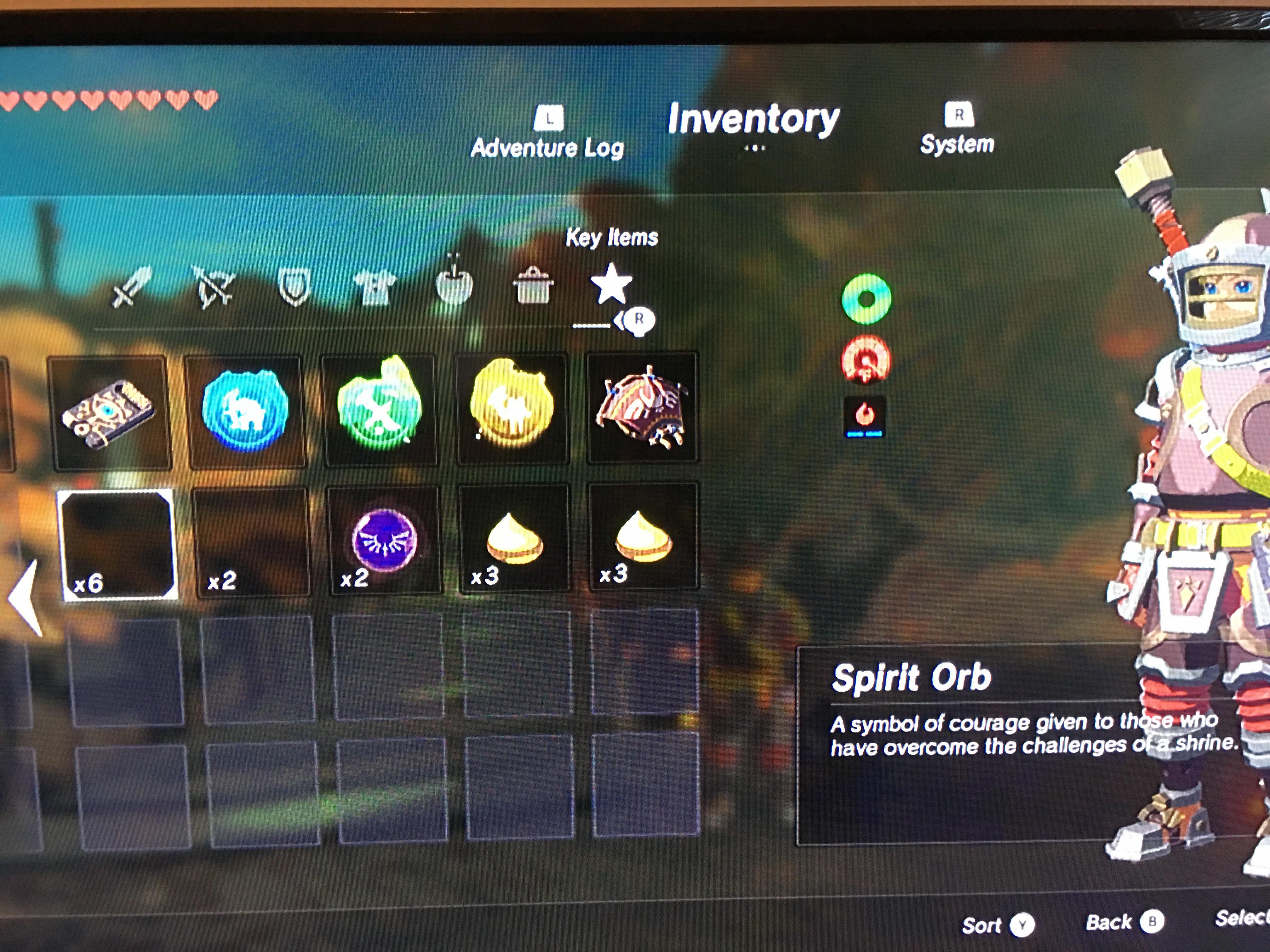 A random glitch happened during my first play of BoTW where some stuff