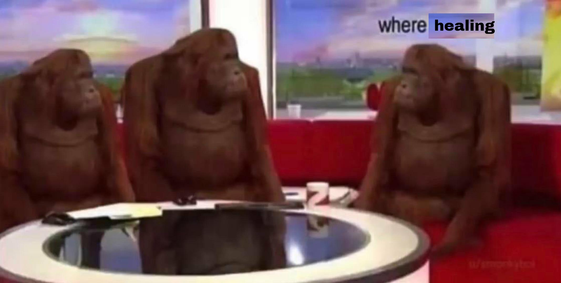 Using the mana polarizer be like CalamityMod