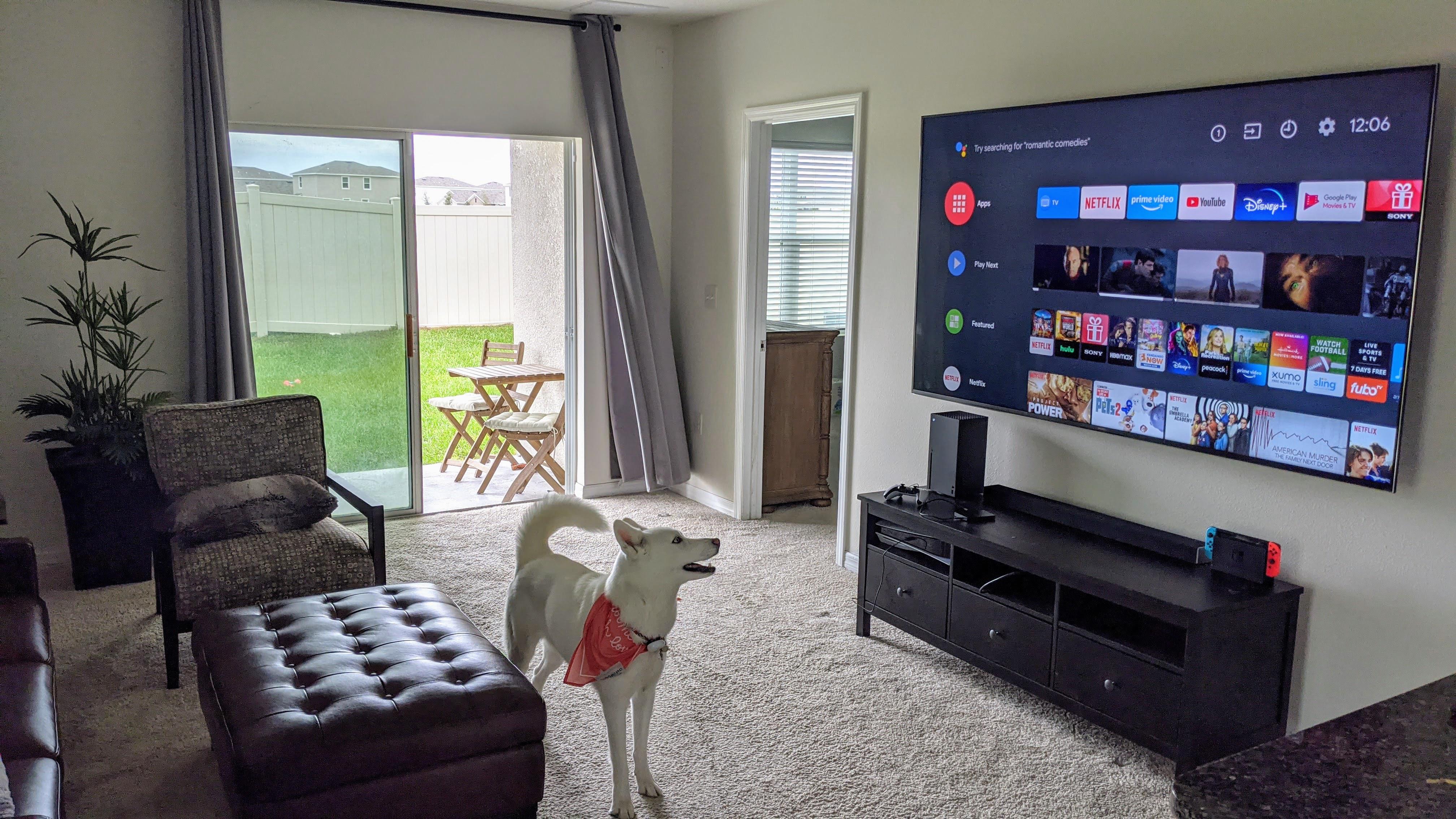 I just bought my first Sony Bravia, the 85X900H! Absolutely stunning