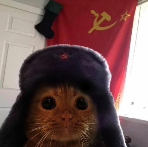 Soviet cat r/Eyebleach