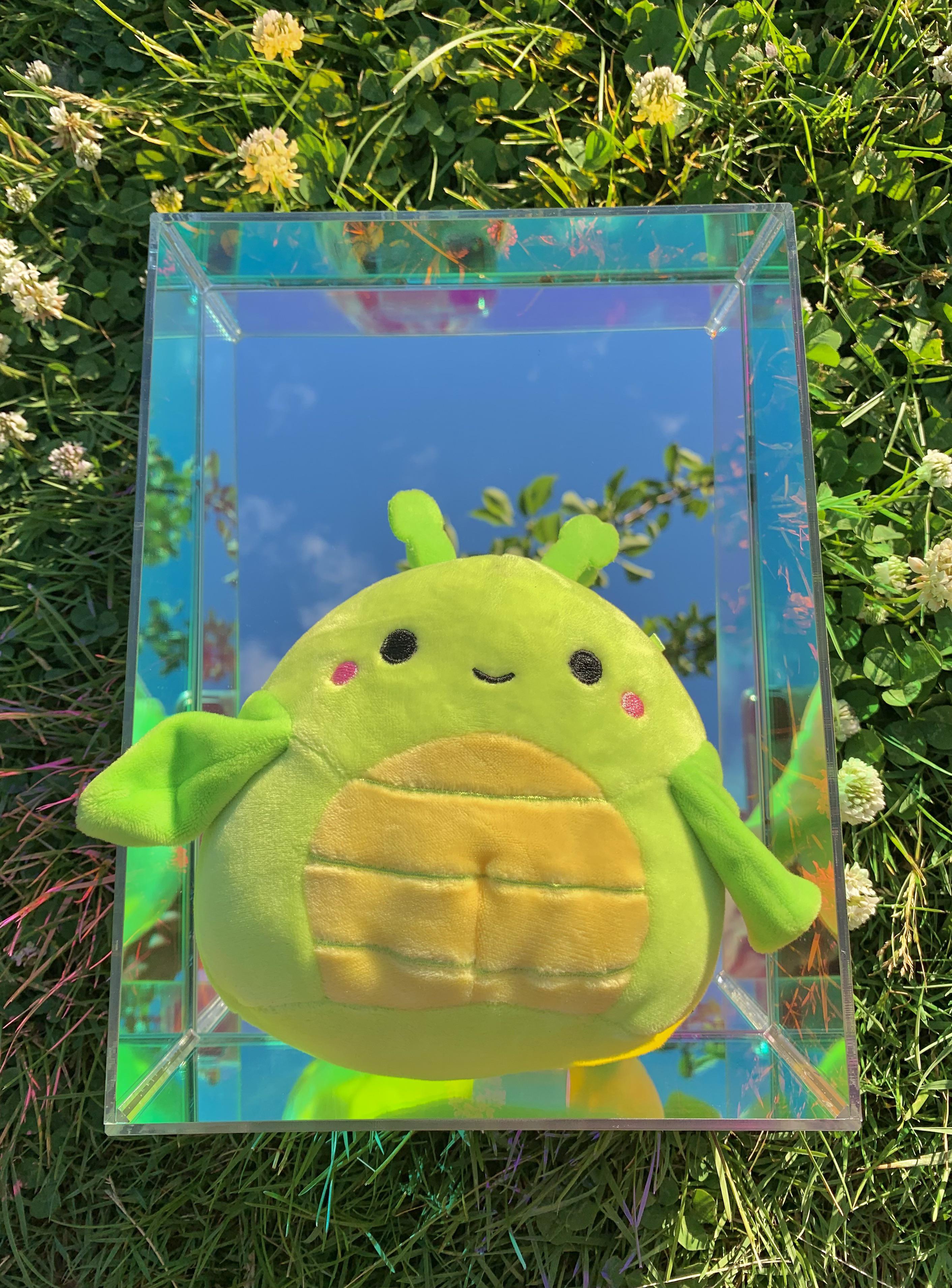 Pillar modeling my new Ikea mirror! r/squishmallow