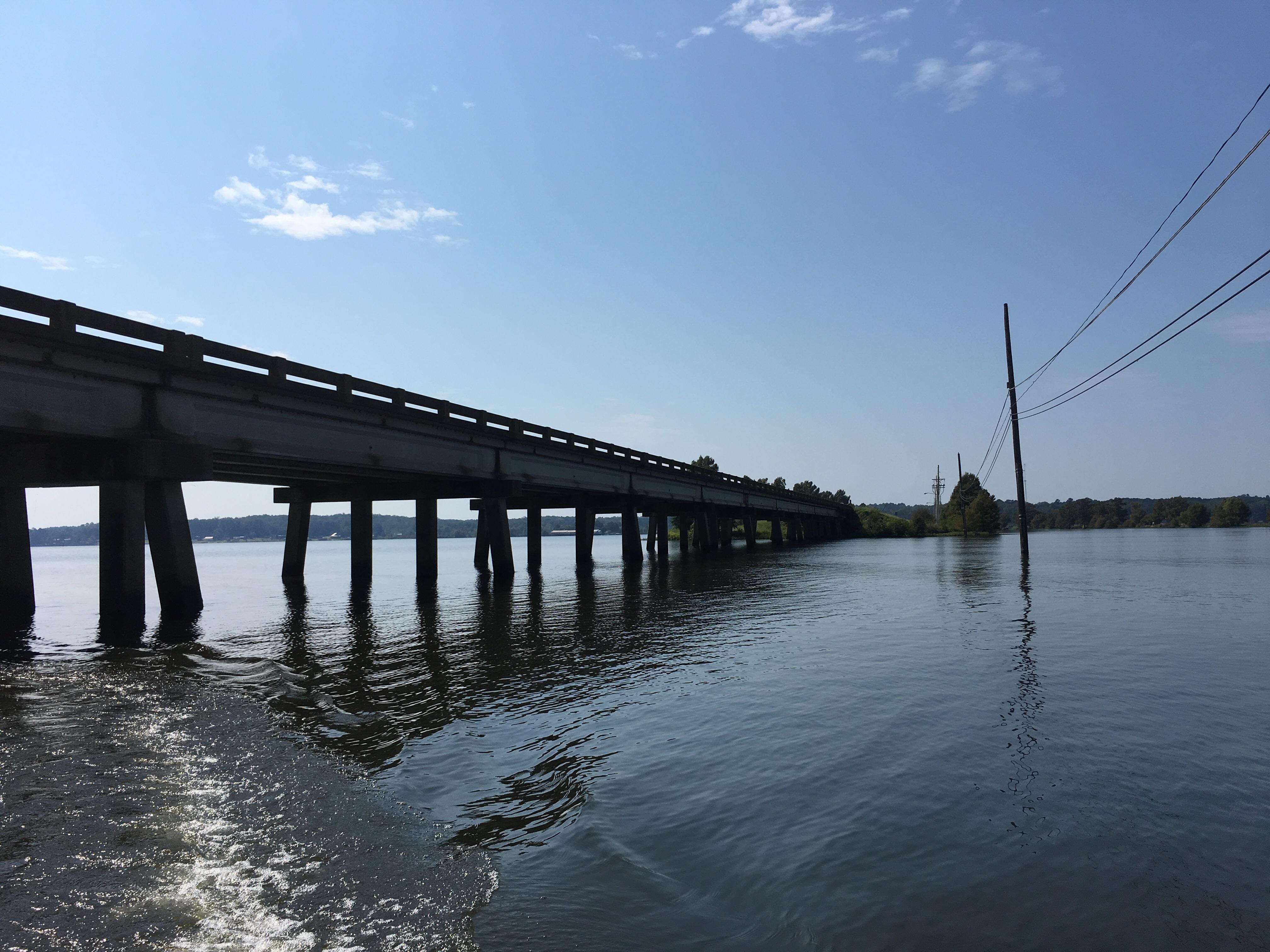 Lake D’Arbonne. Farmerville, LA. r/Louisiana