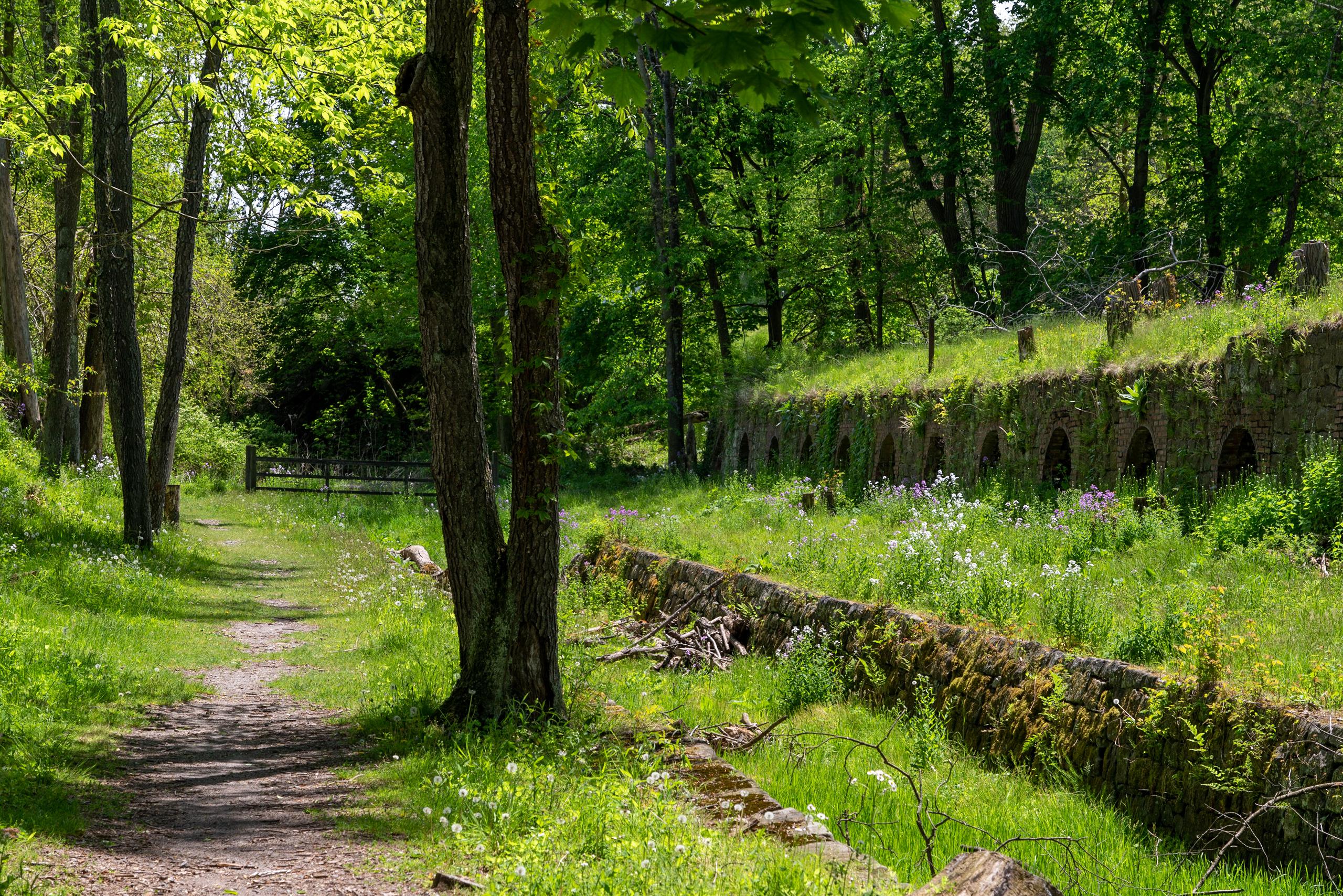 19th Century Coke Ovens reclaimed by nature. Leetonia Ohio. r/Ohio