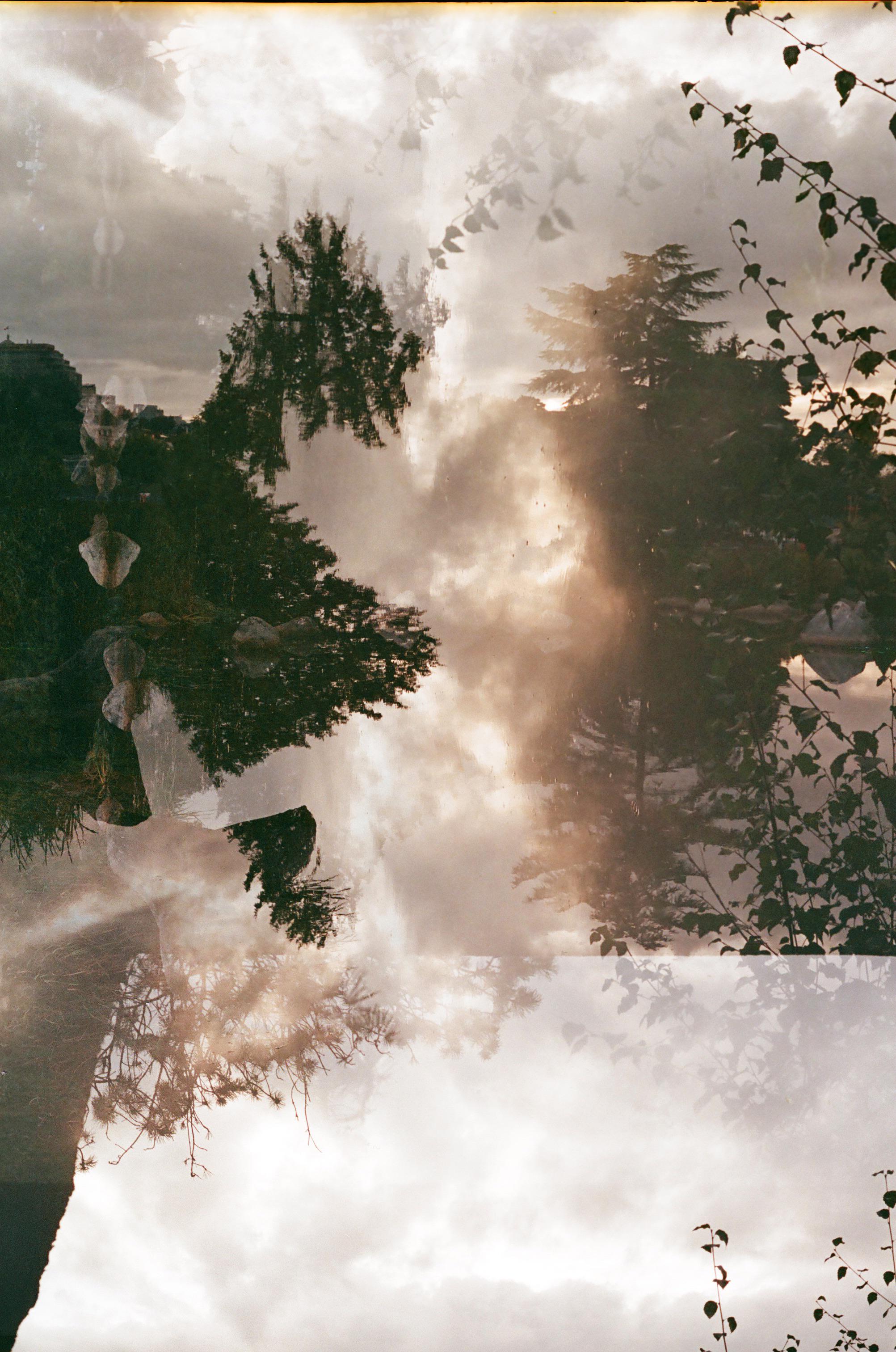 Dream within a dream, me, film photography, 2020. r/Art