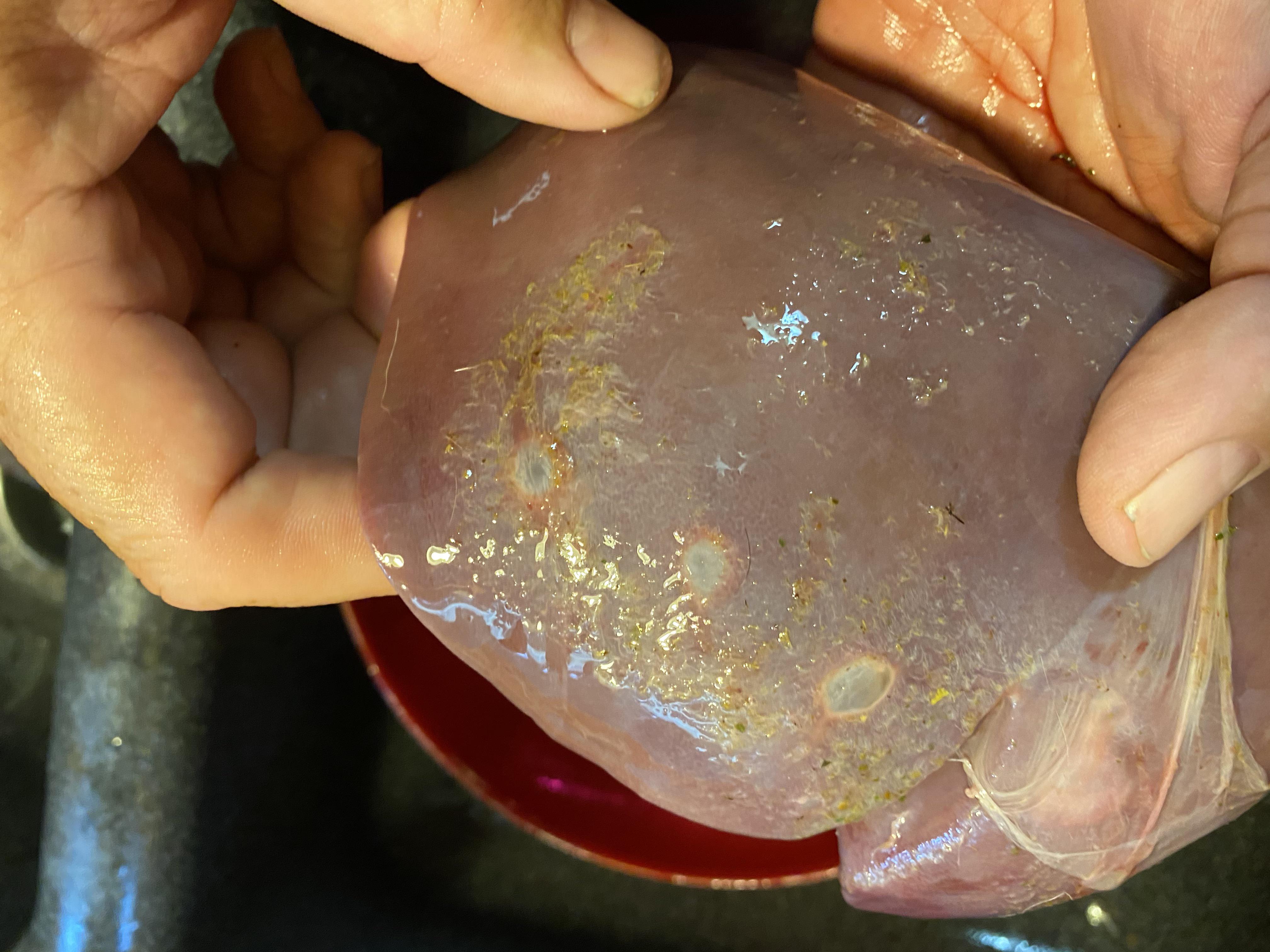 What is this stuff on the liver? Edible? r/Hunting