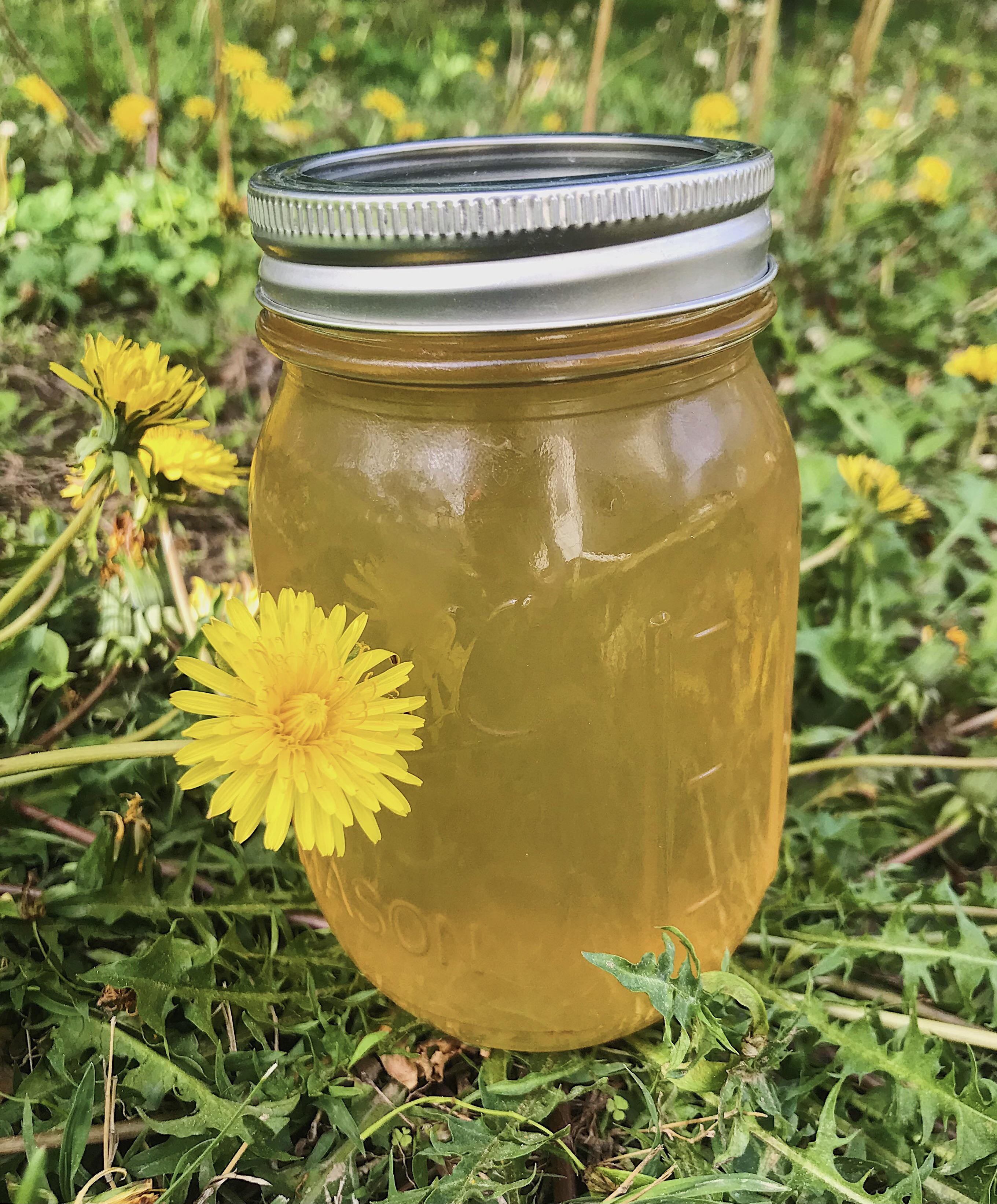 Made dandelion jelly! Had tons of dandelions around our house to forage