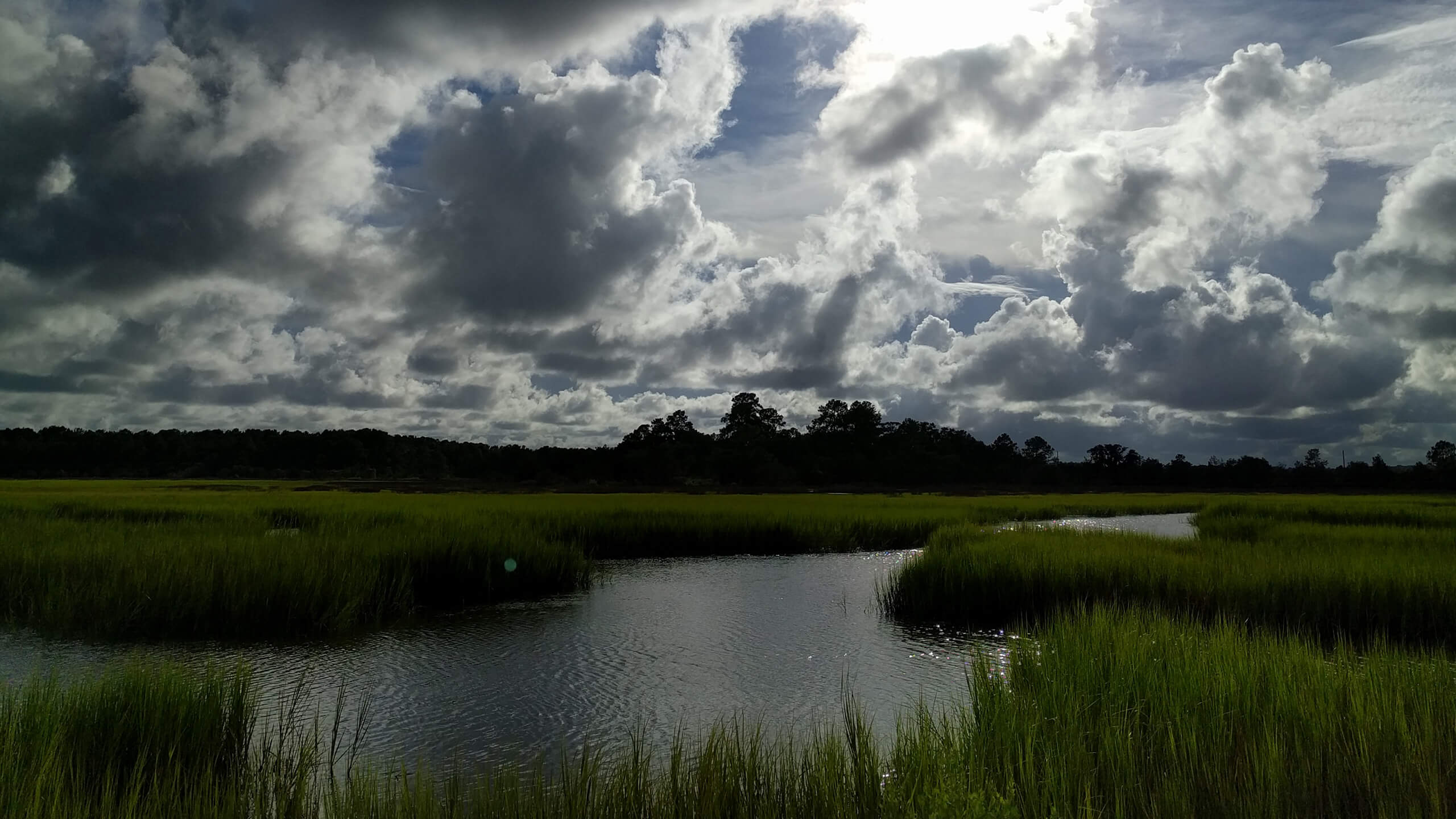 Peace Edisto Island, SC (2560 x 1440) r/wallpaper