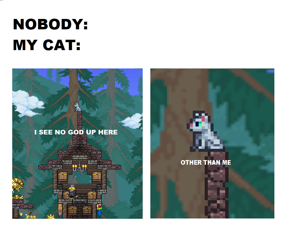 Cat will stay cat. r/Terraria