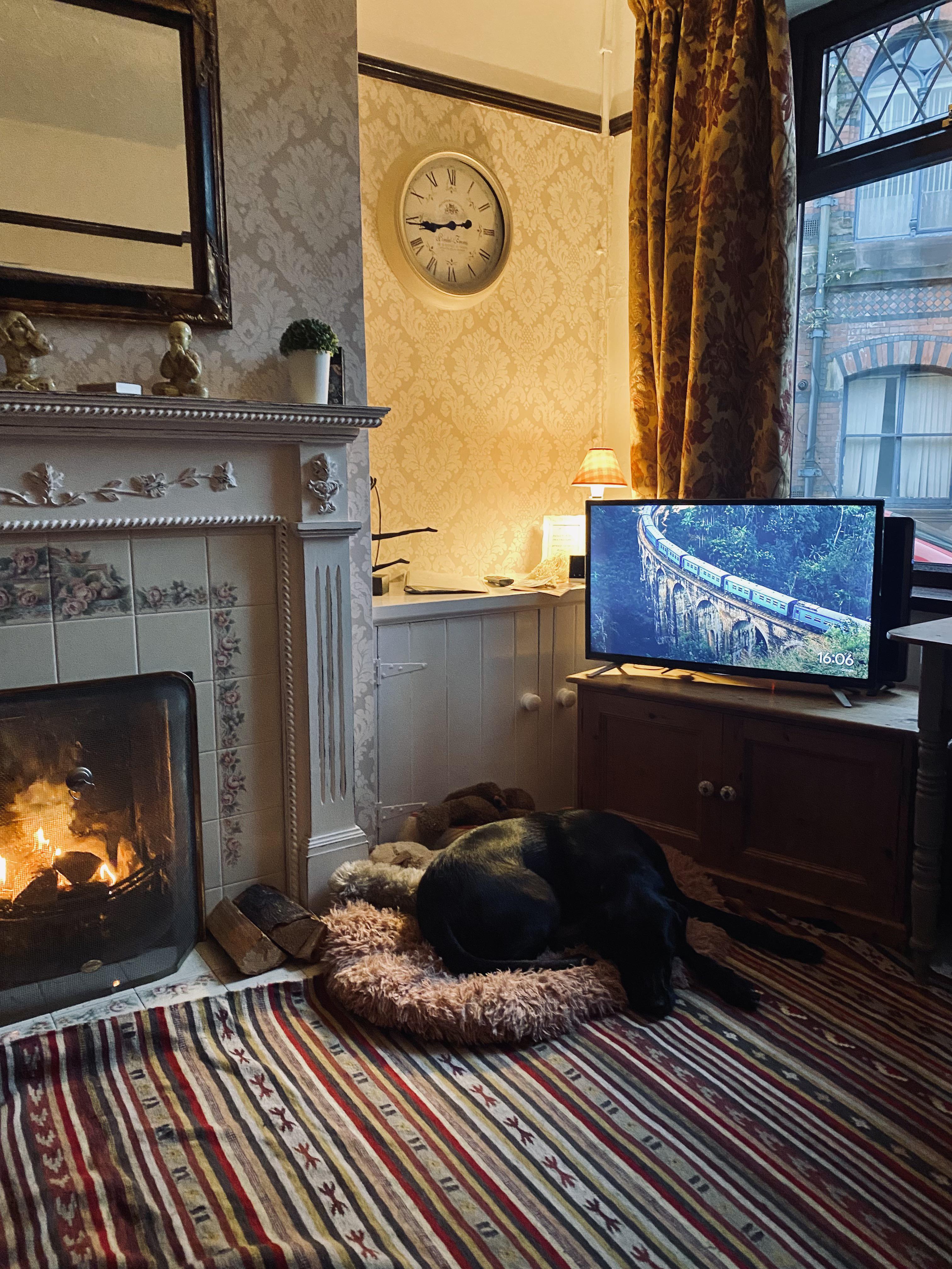 This dog friendly airbnb we’re staying at Staffordshire, UK r/CozyPlaces