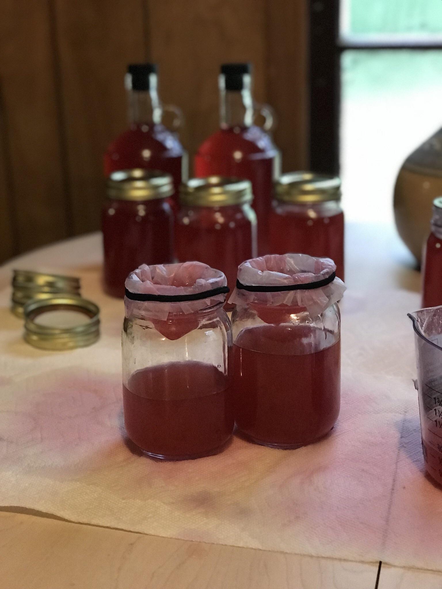 First time making muscadine wine, thrilled with the