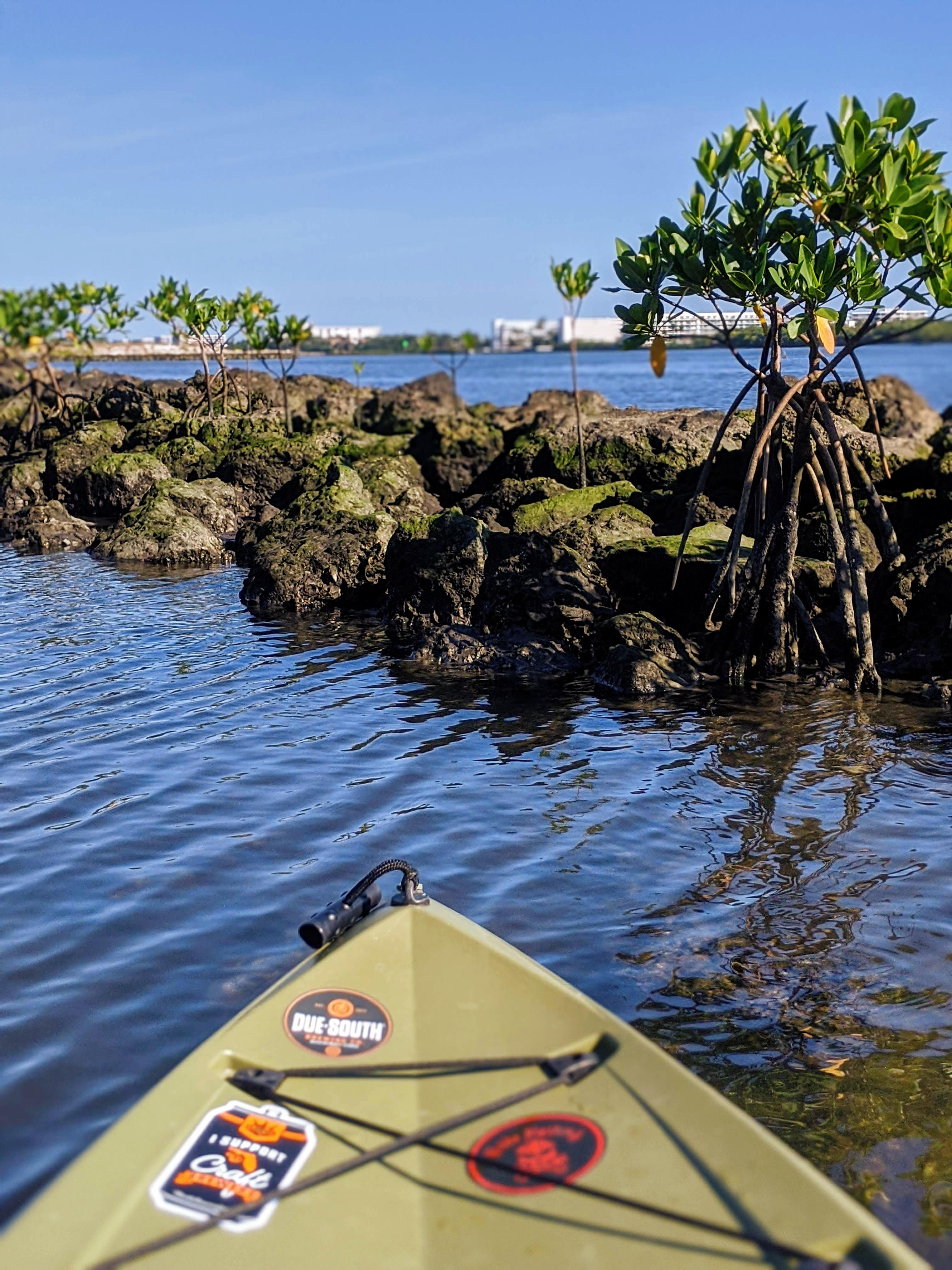 Snook Island Natural Area near Lake Worth Beach great to see a