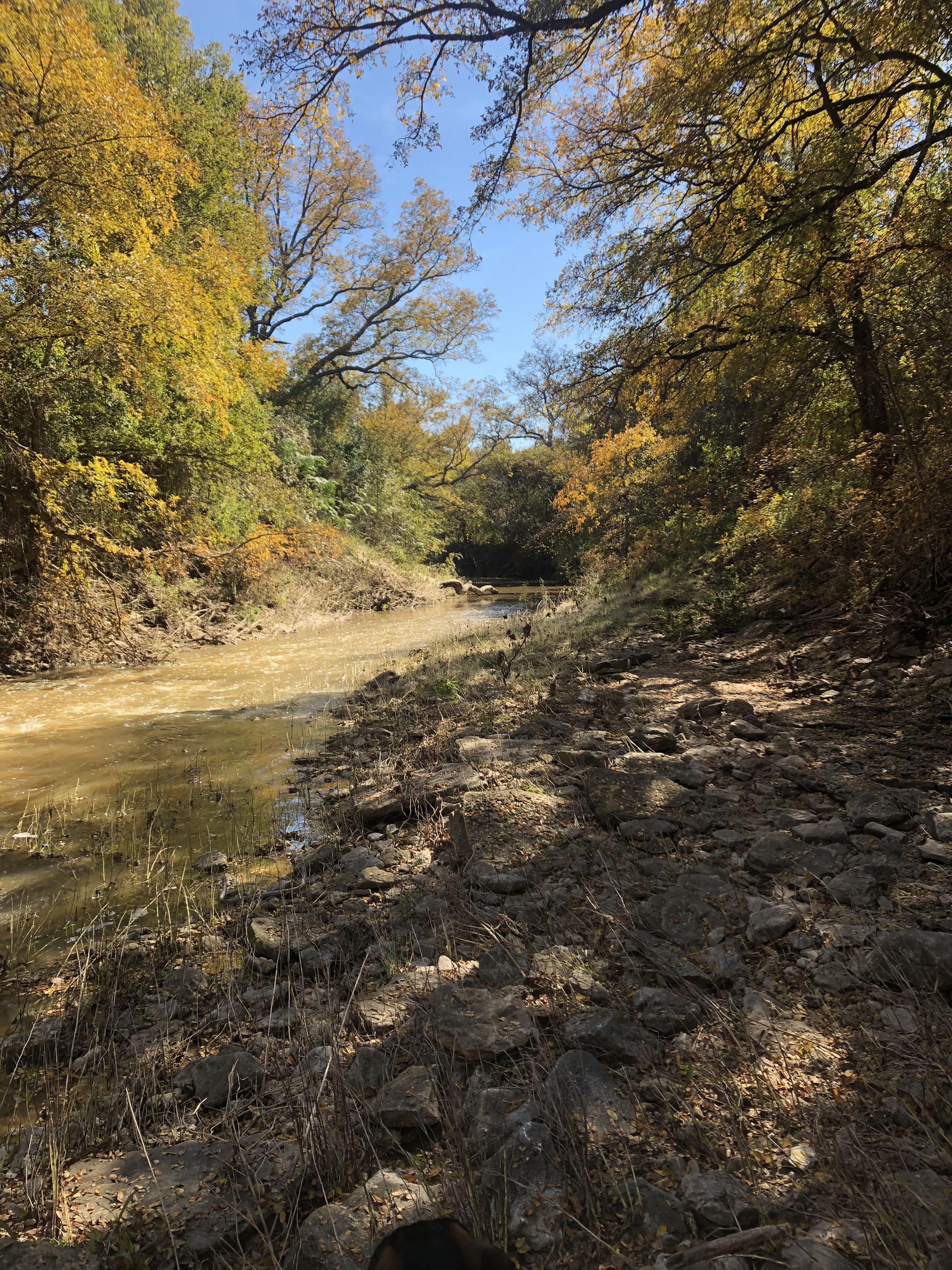 Bosque River, Stephenville! 🤙🏻 r/TXoutdoors