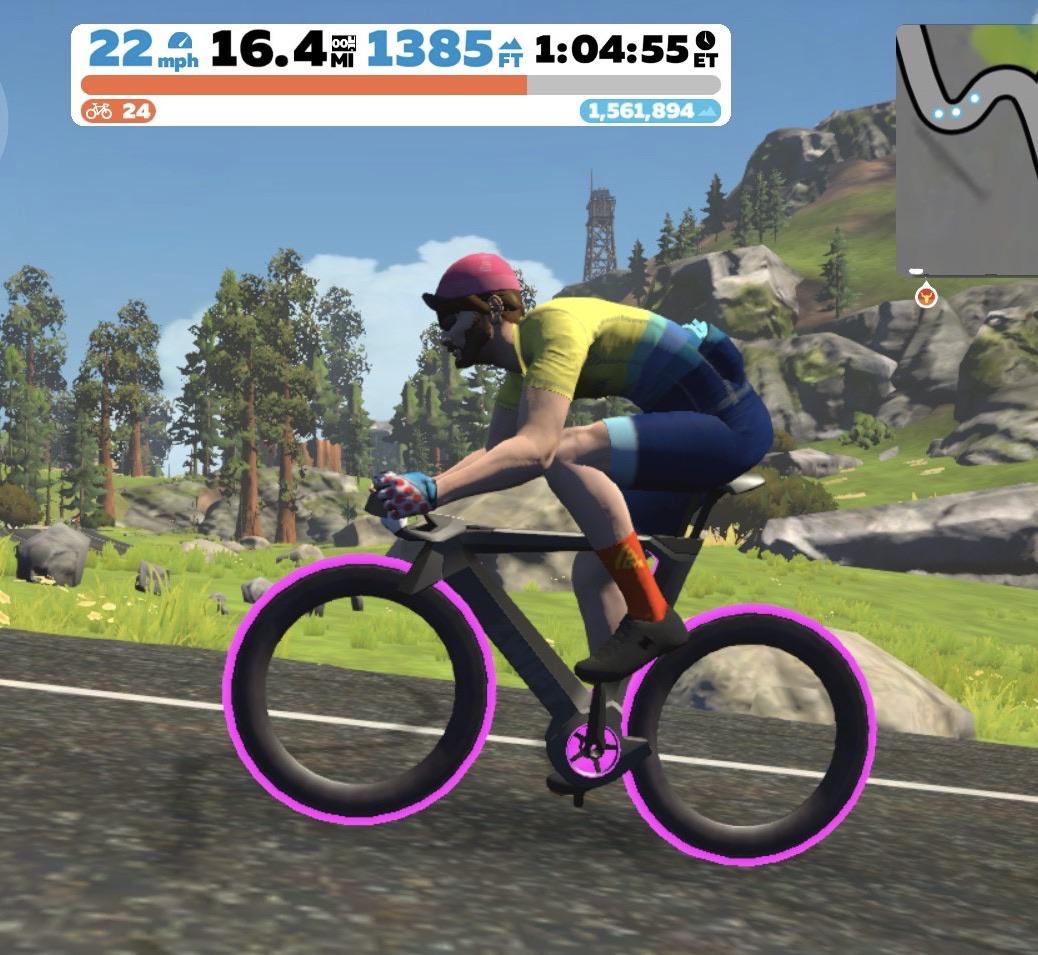 13 months, 24.6 levels r/Zwift