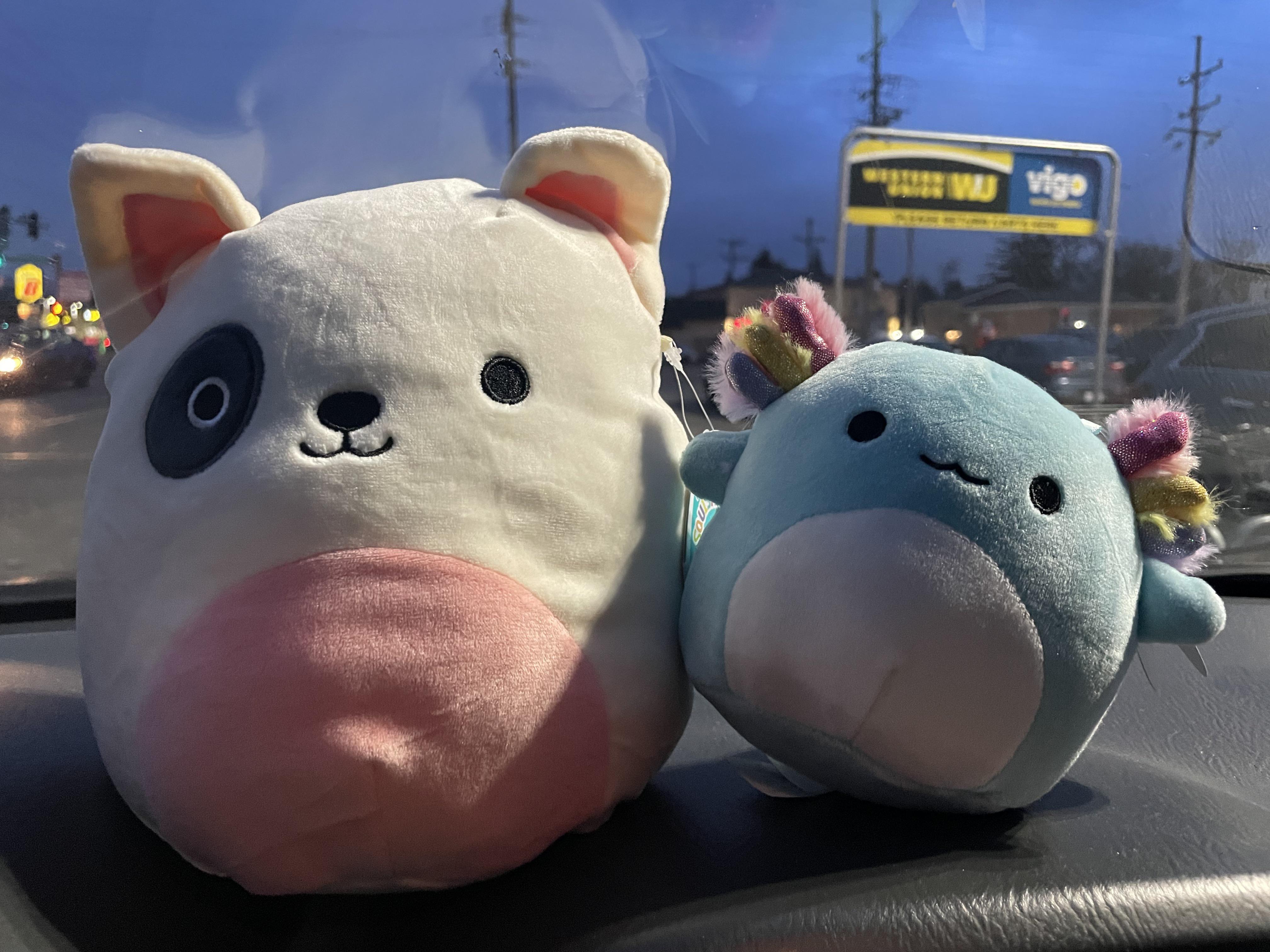Tj Maxx and Claire’s finds today 🤪 🏼🤪🤪 r/squishmallow