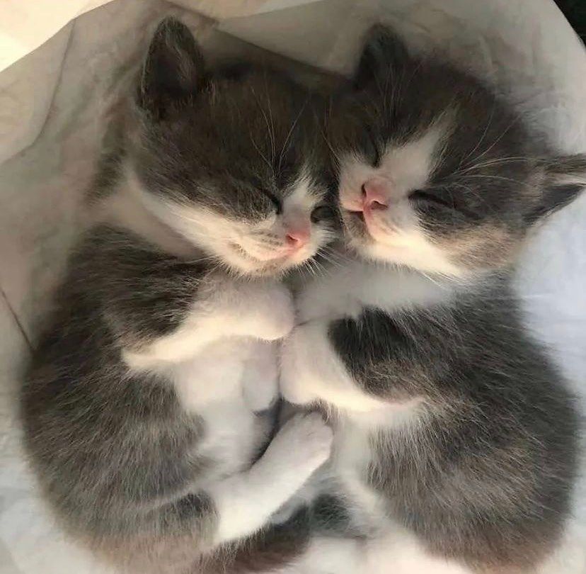 Anabel Kiss 😘 (u/anabel-kiss) - Reddit