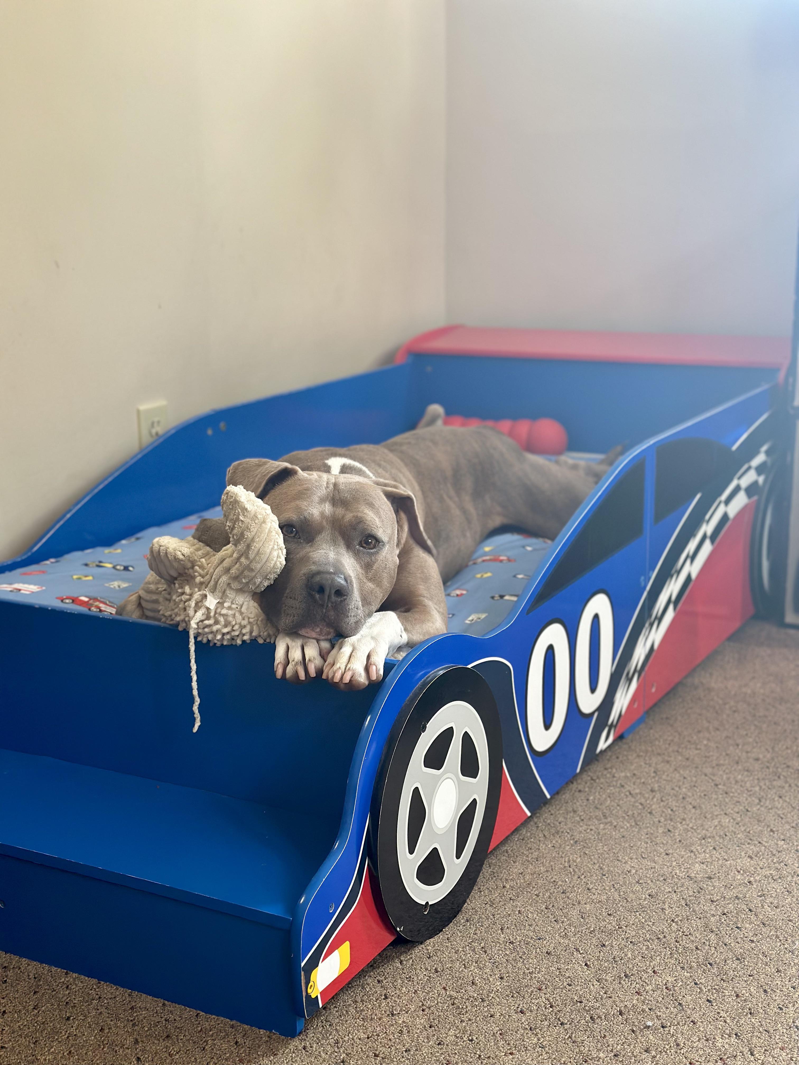 We found this race car bed on the side of the road. It’s fair to say he