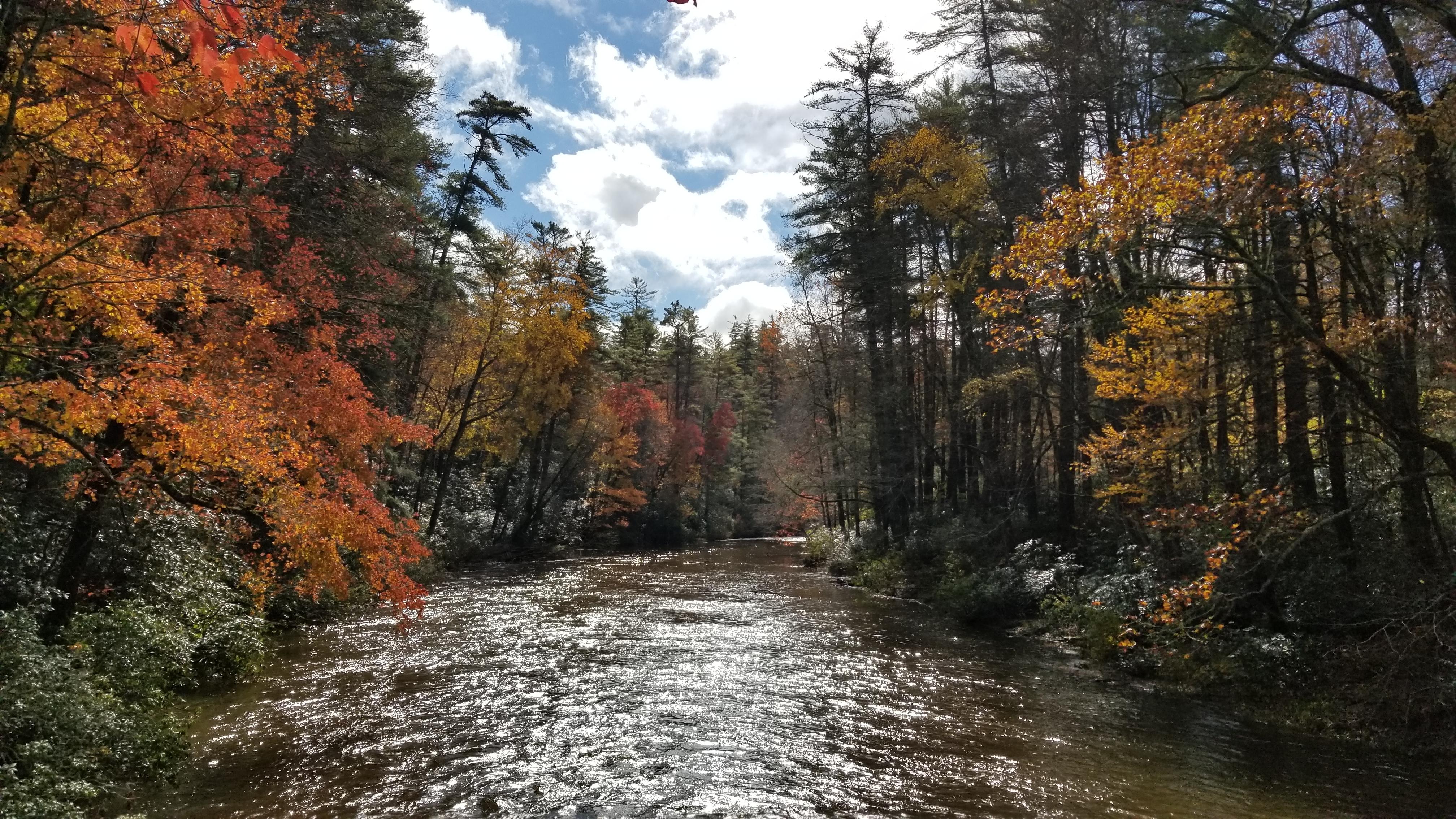 Linville River just before the Linville, NC [OC][4032x2268] r