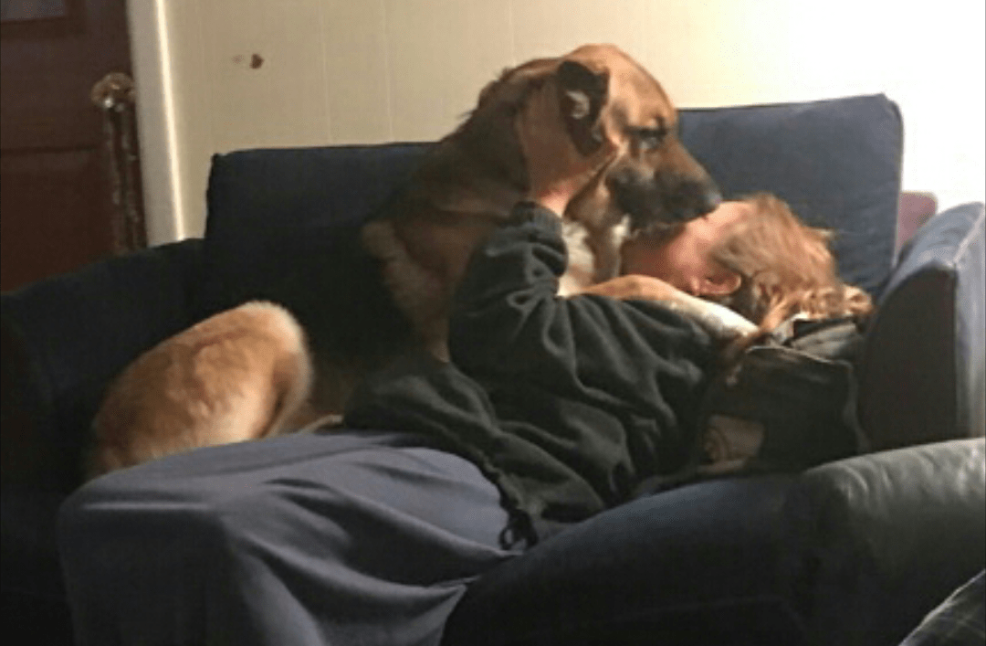 My pup comforting me and licking my tears. Dog is my Shepherd r/aww