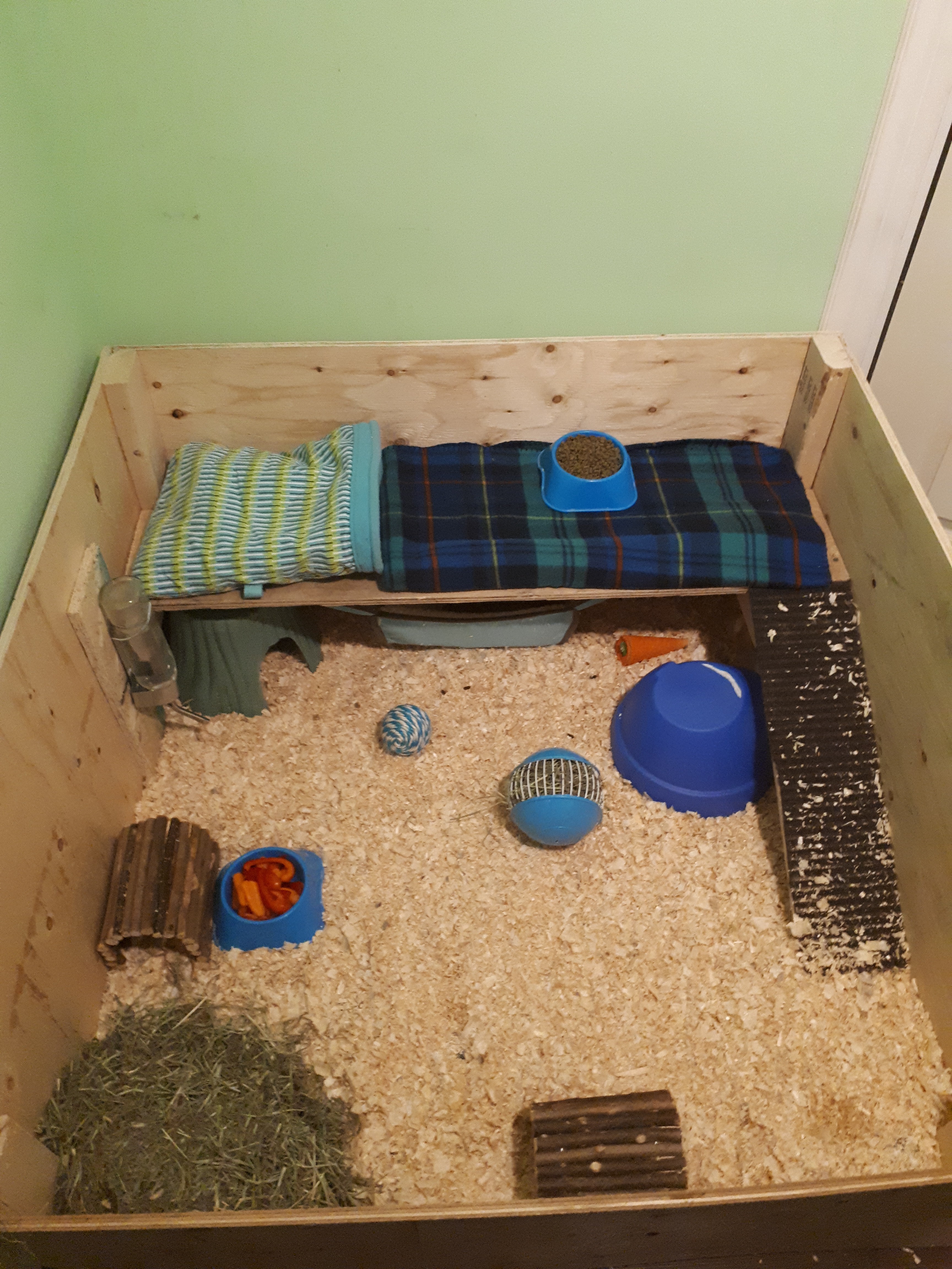 We built a new cage for our baby girls! Any tips on cage setup/ cage