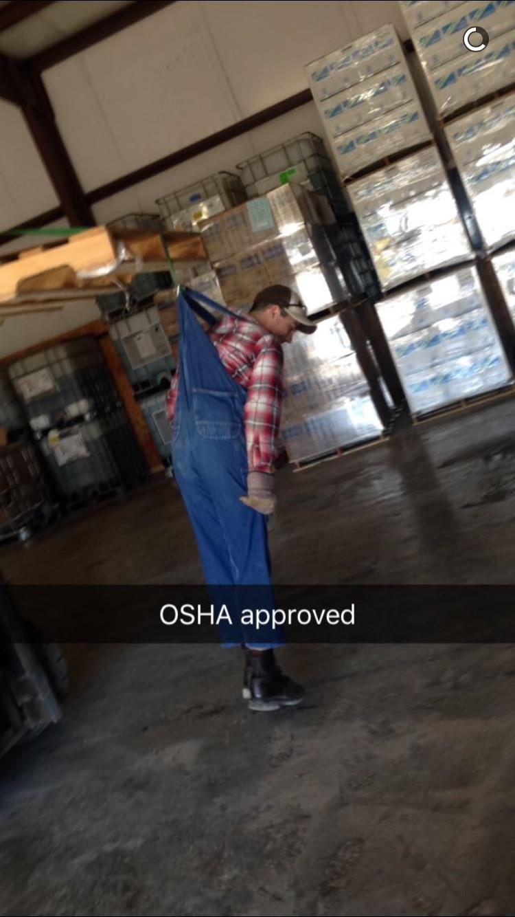 Safety harness for painting r/OSHA