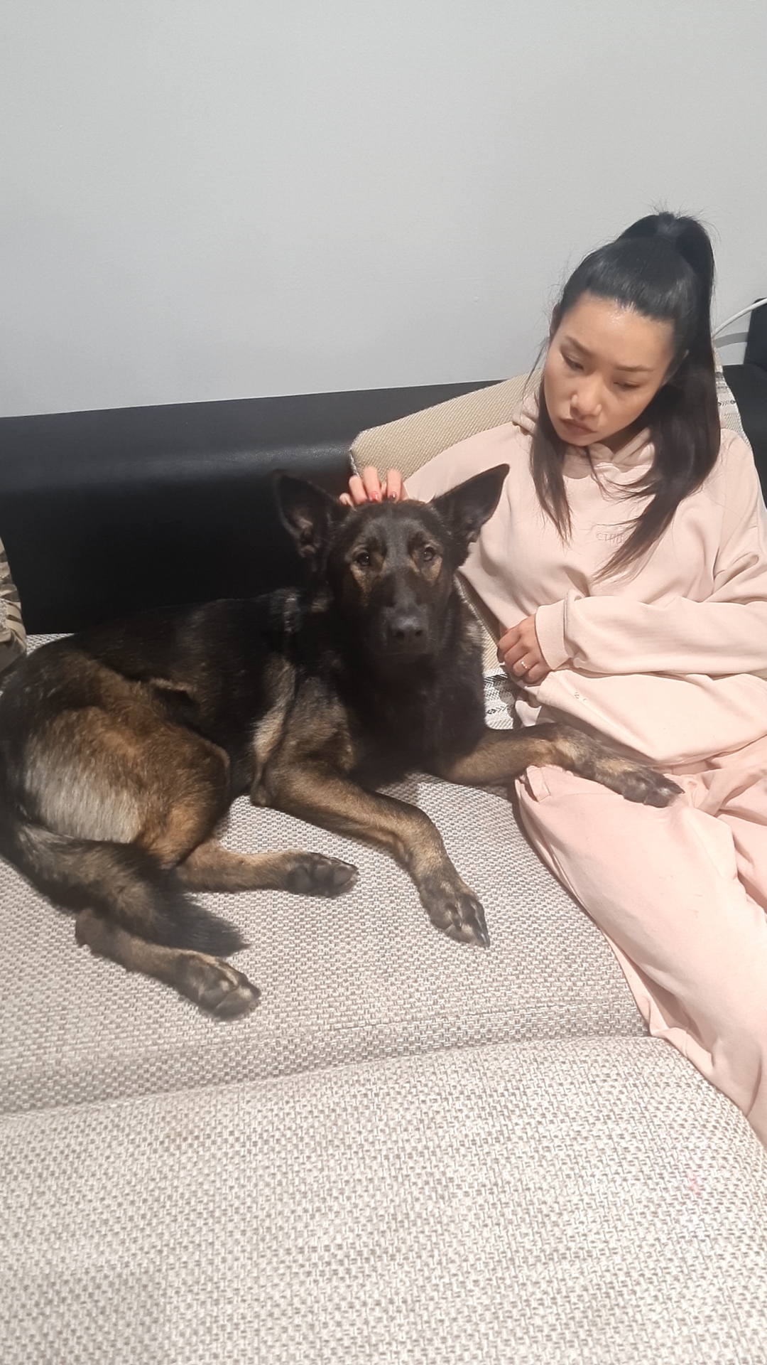 My dog hates the Vet. agressive because he had a bad experience