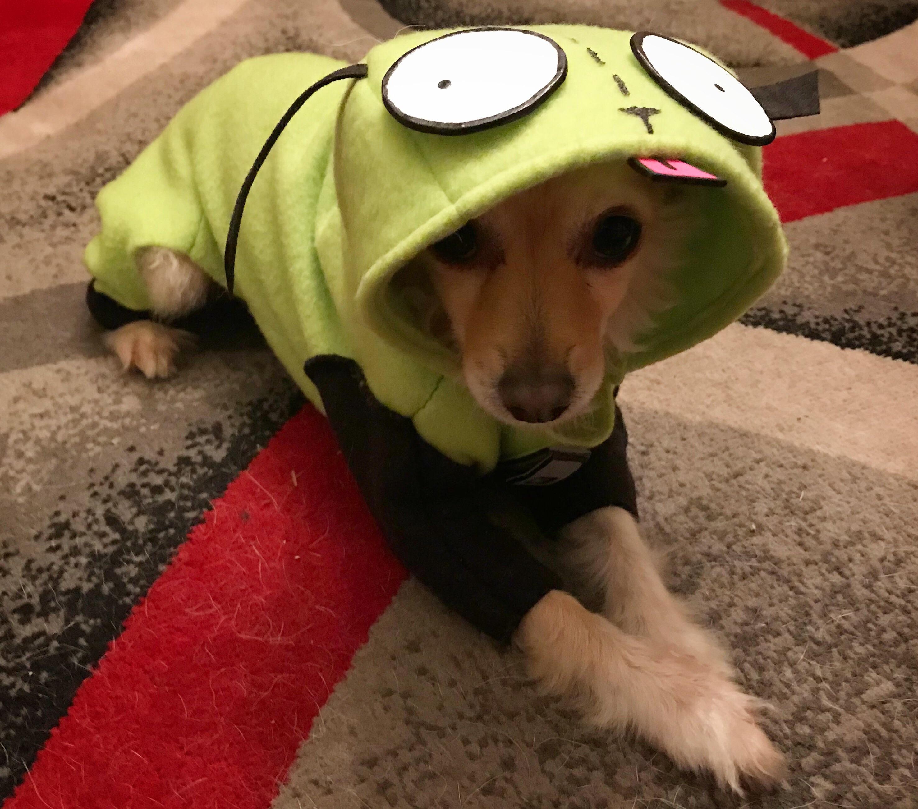Invader Zim Gir Dog