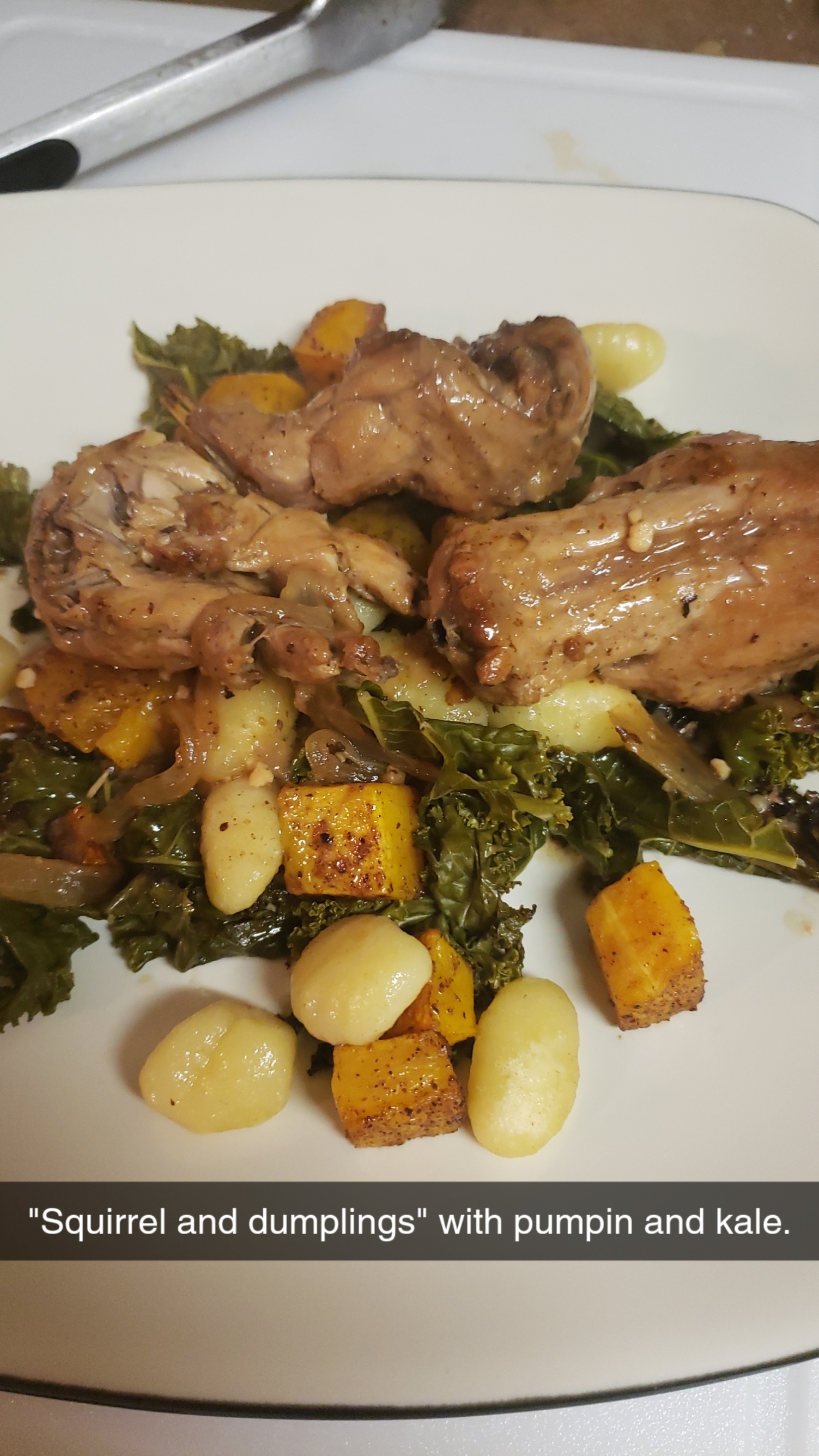 [Homemade] Squirrel dumplings. food