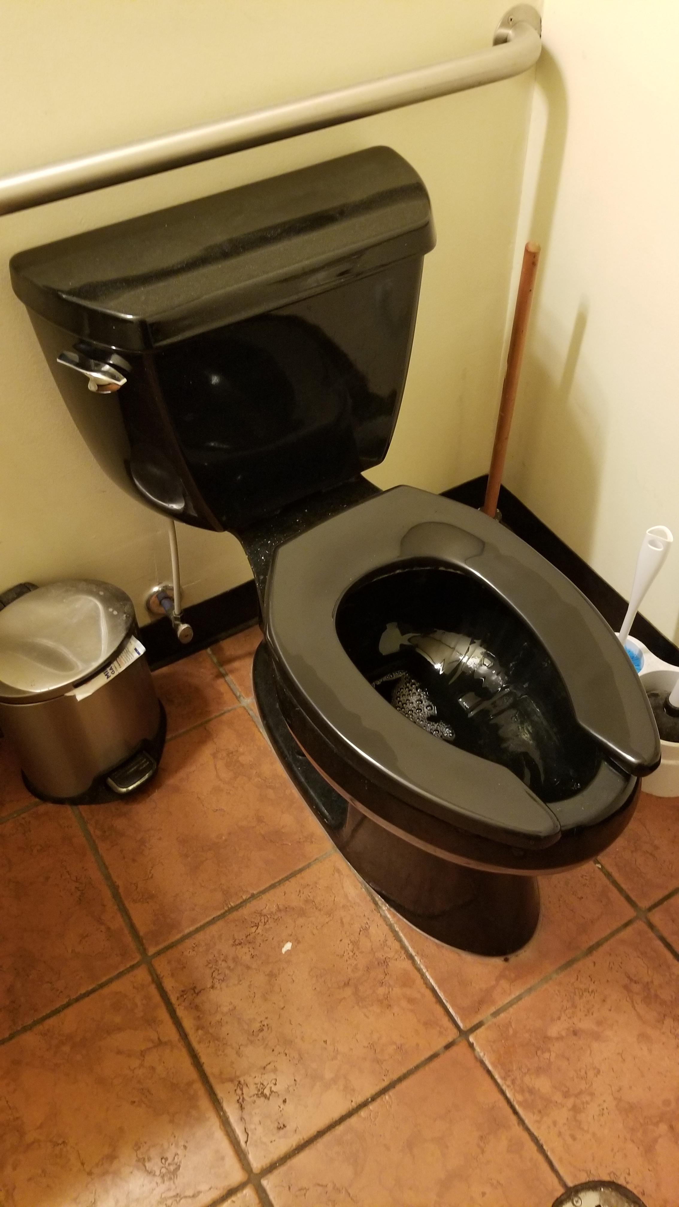 This black toilet r/RealLifeShinies