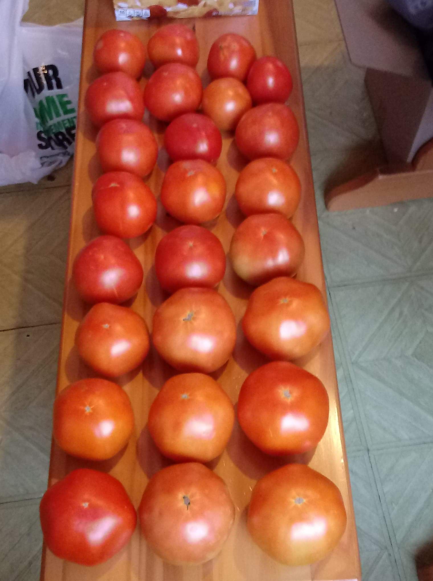Fresh harvested home grown tomatoes r/homestead