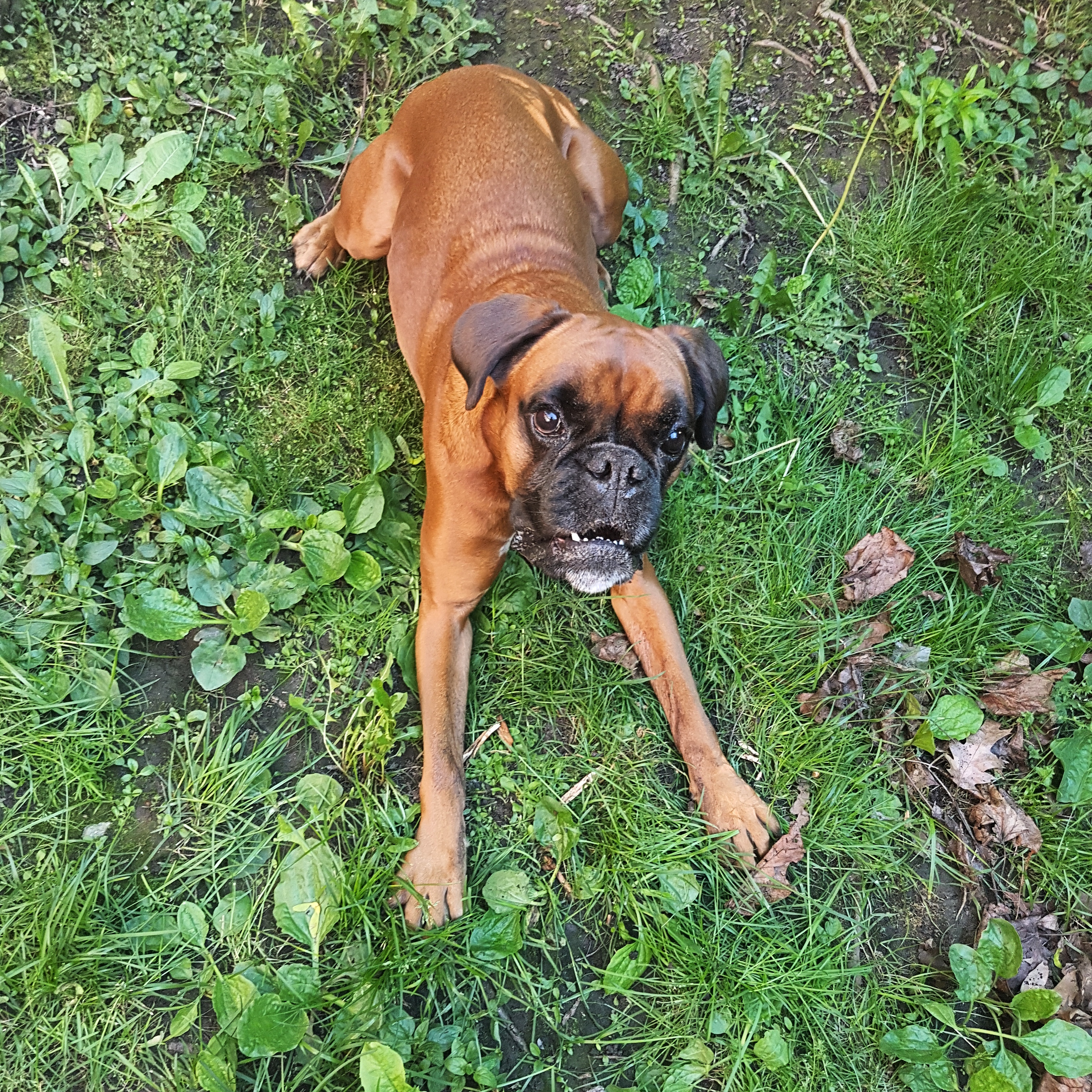 Albums 103+ Wallpaper Why Do Boxers Have Holes In The Front Excellent