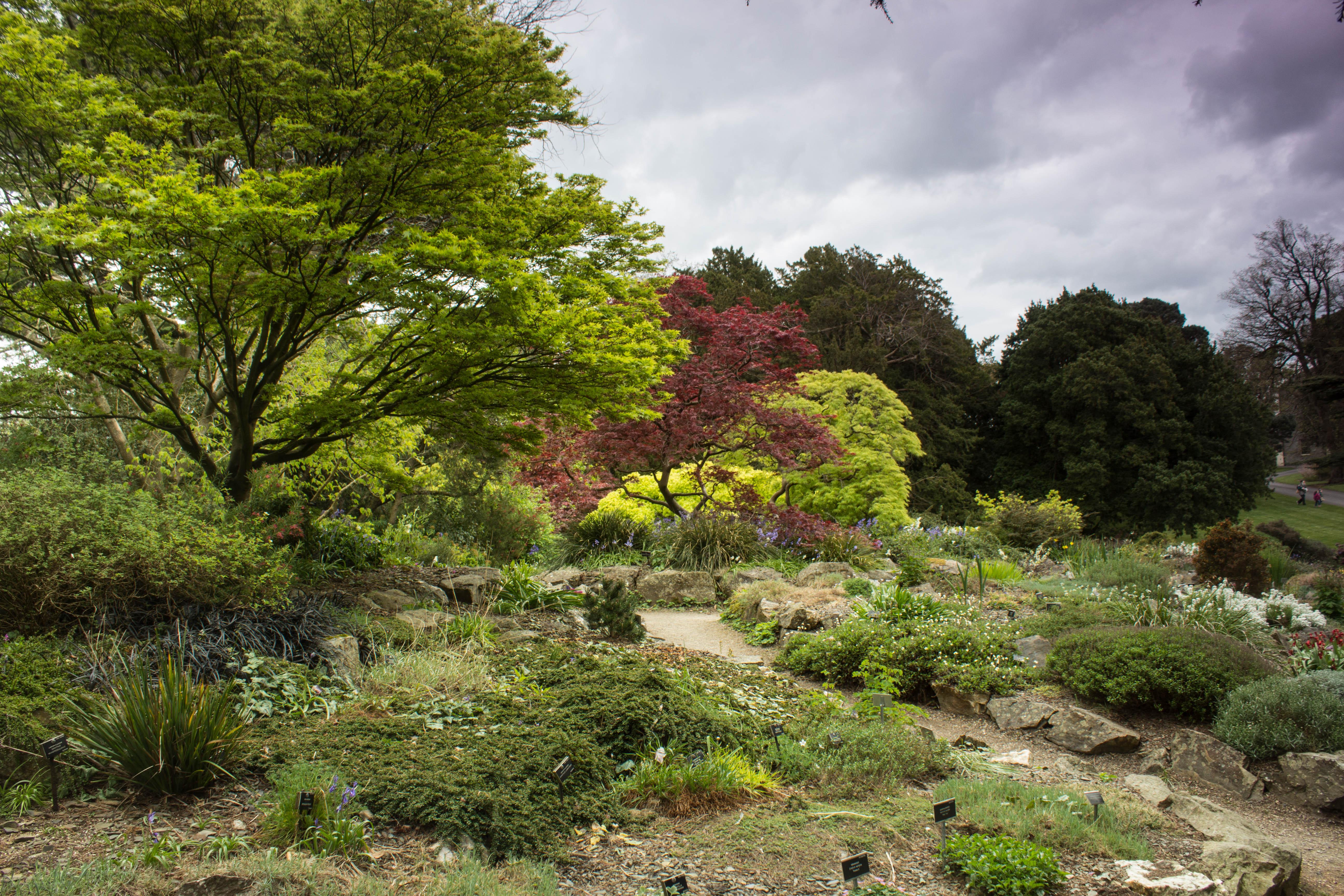 National Botanic Gardens Dublin Ireland [OC] [5184X3456] BotanicalPorn