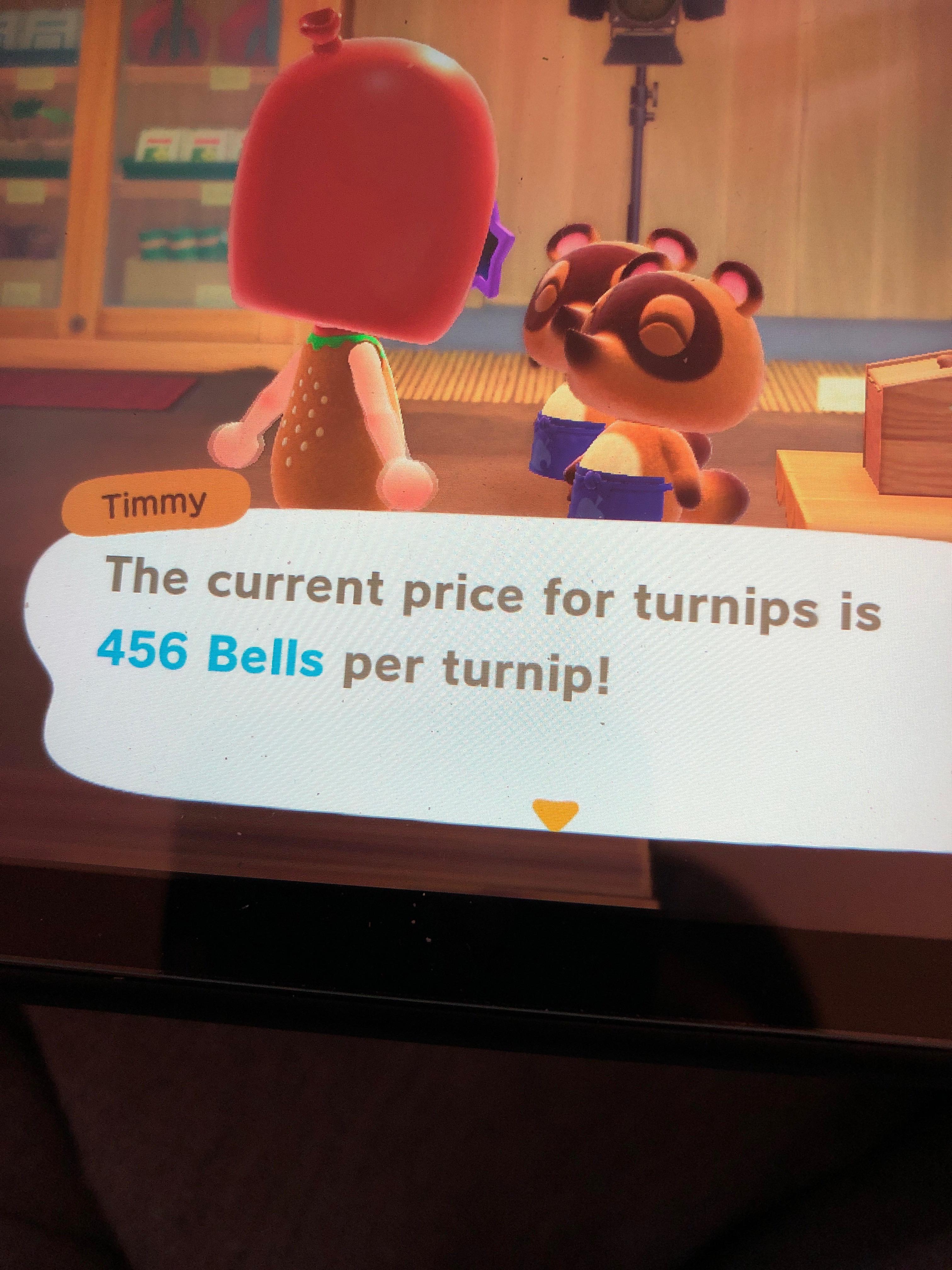 456 for turnips! 2 nook miles tickets to get into town please! You can