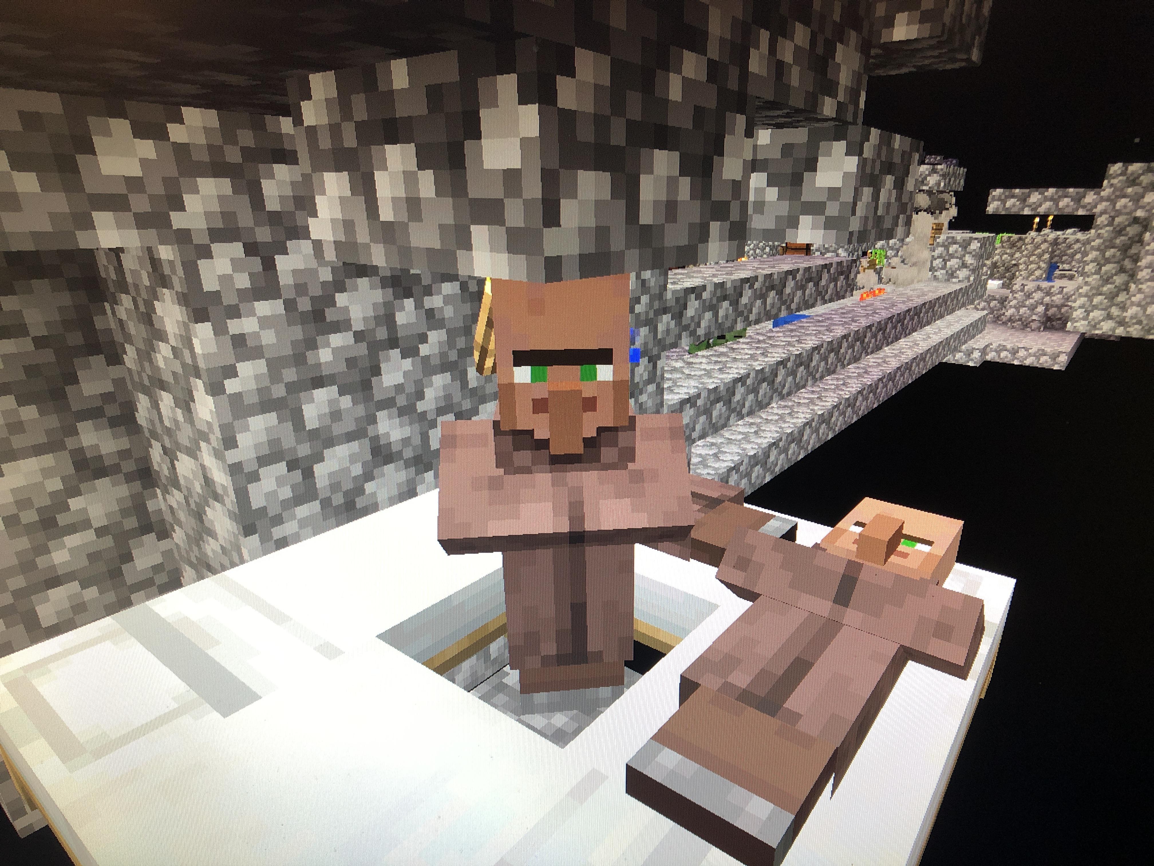 Why is my villager not sleeping??? i’m trying to make an iron farm and