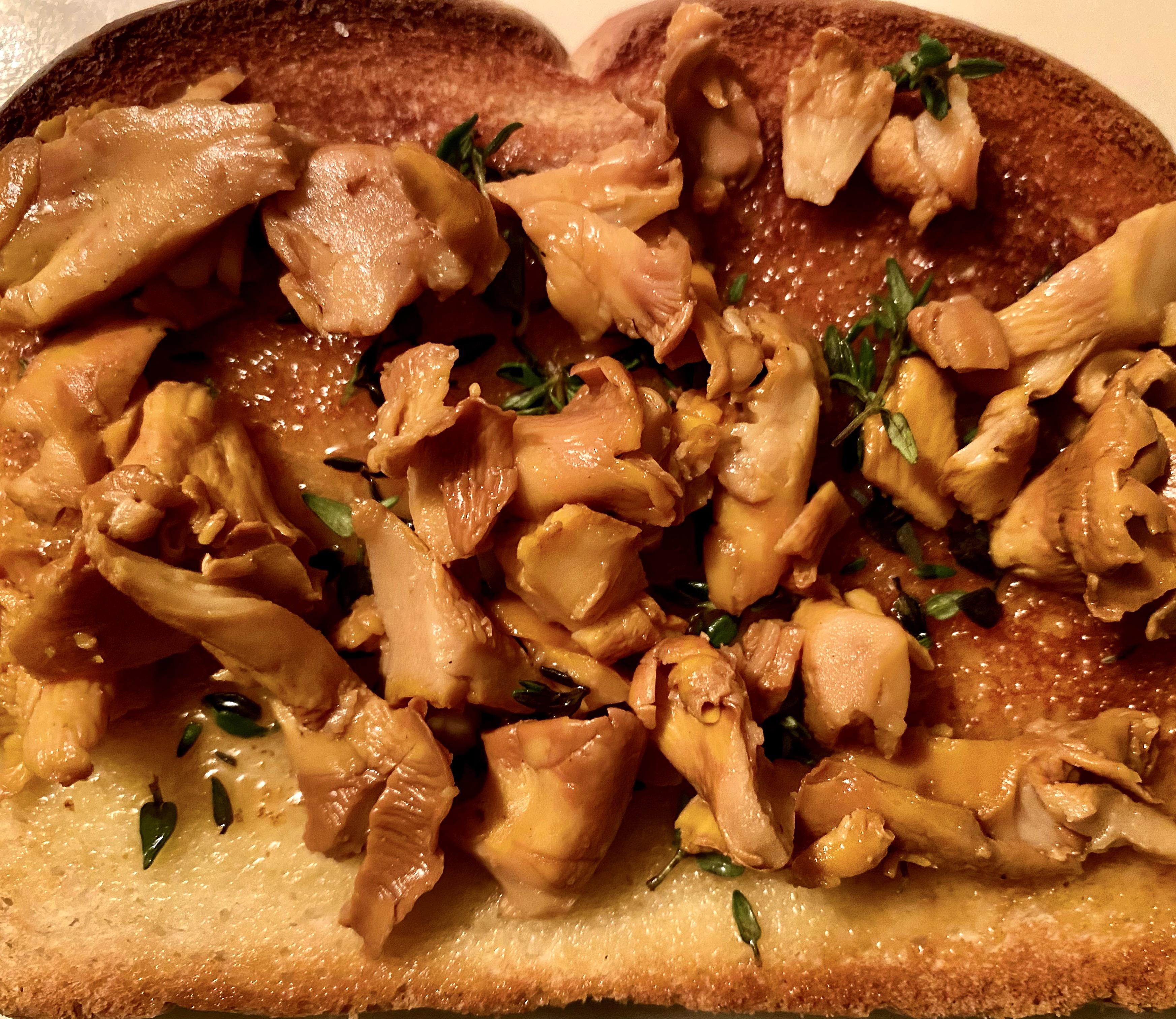 Chanterelle, thyme, butter (that’s it) toast. Made this out of a bunch