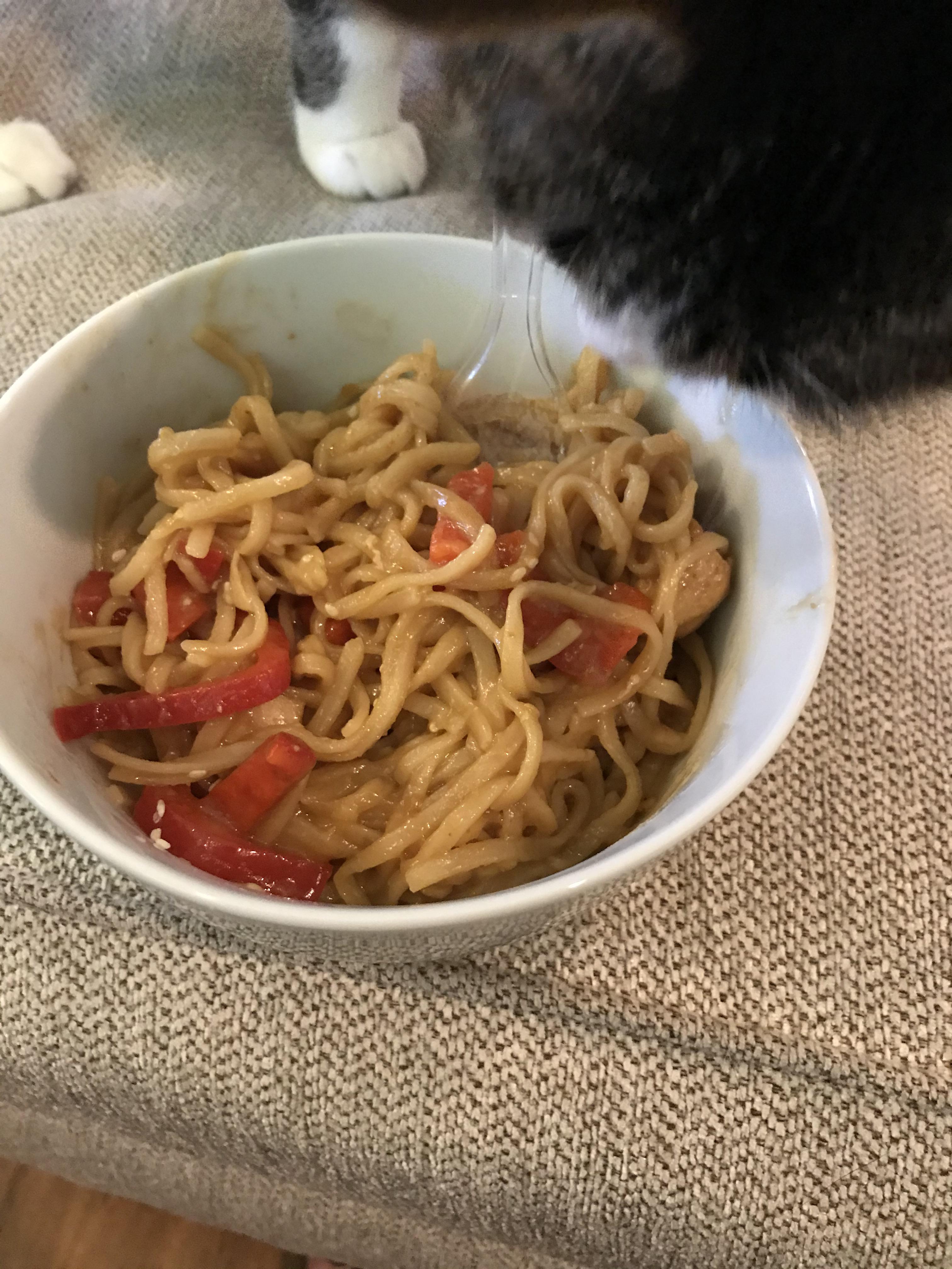 Chili Garlic Noodles (+ interested cat) r/instantpot