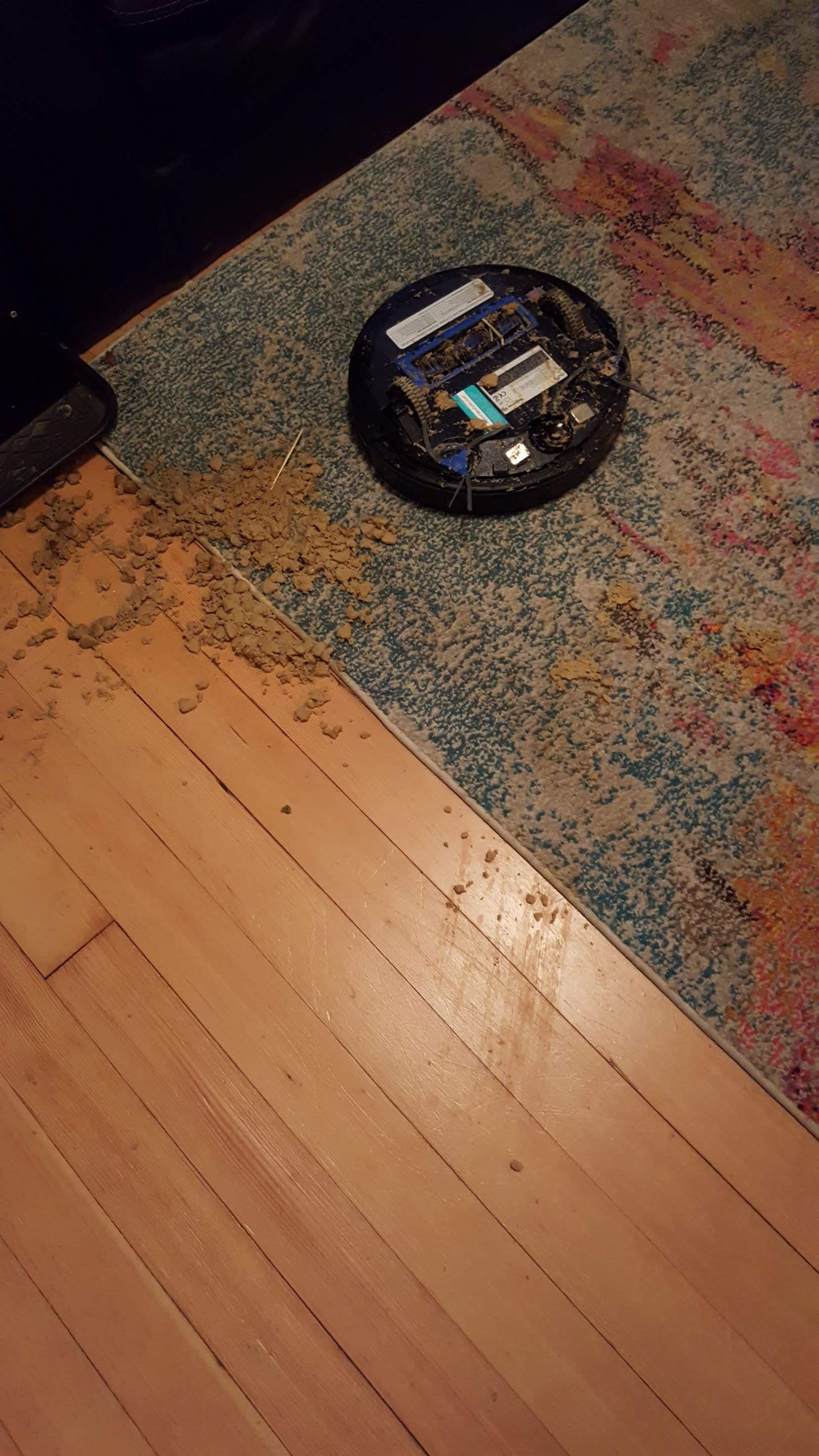 While I was in the shower, my dog puked up ALL of his breakfast. Roomba
