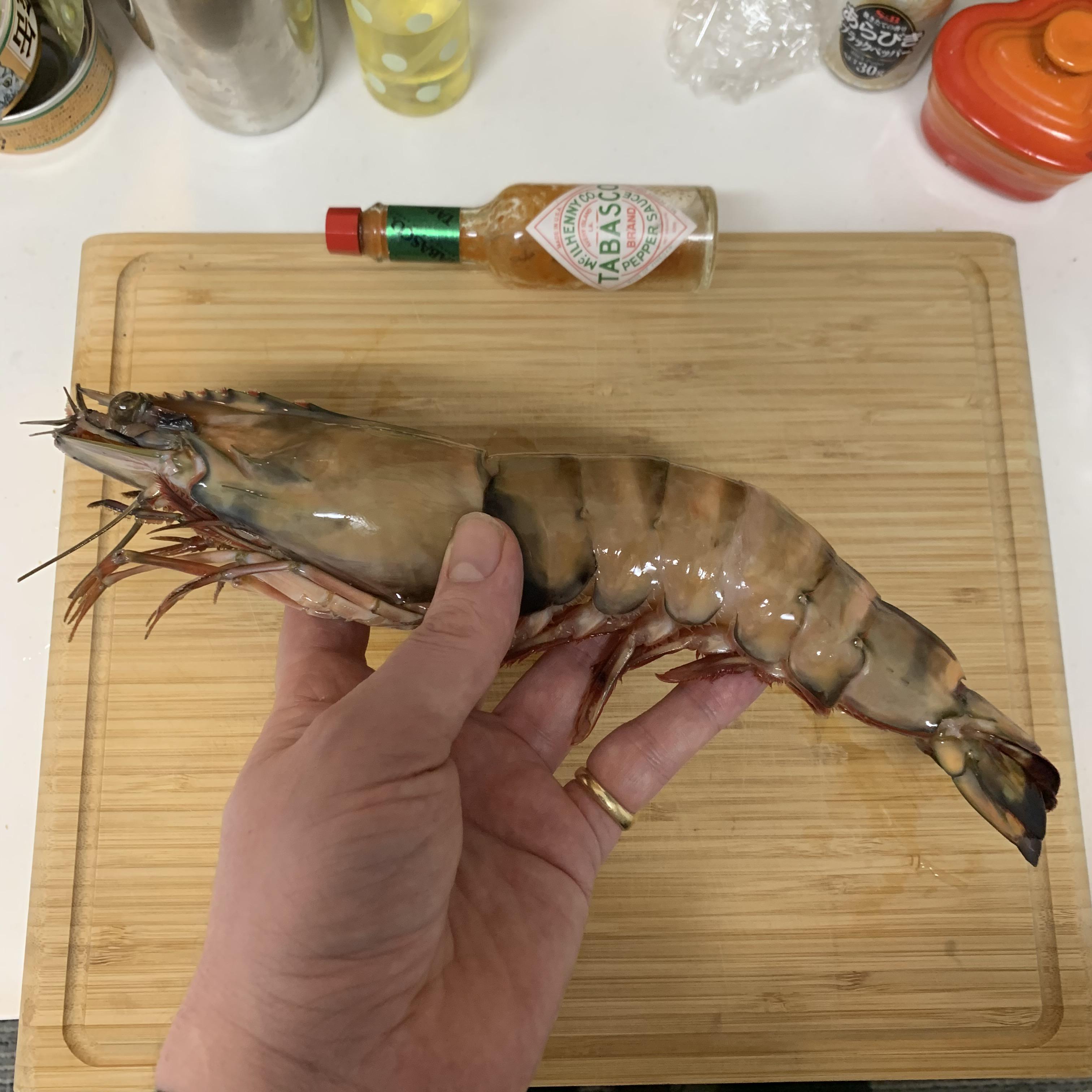 Giant Emperor Prawn r/mildlyinteresting