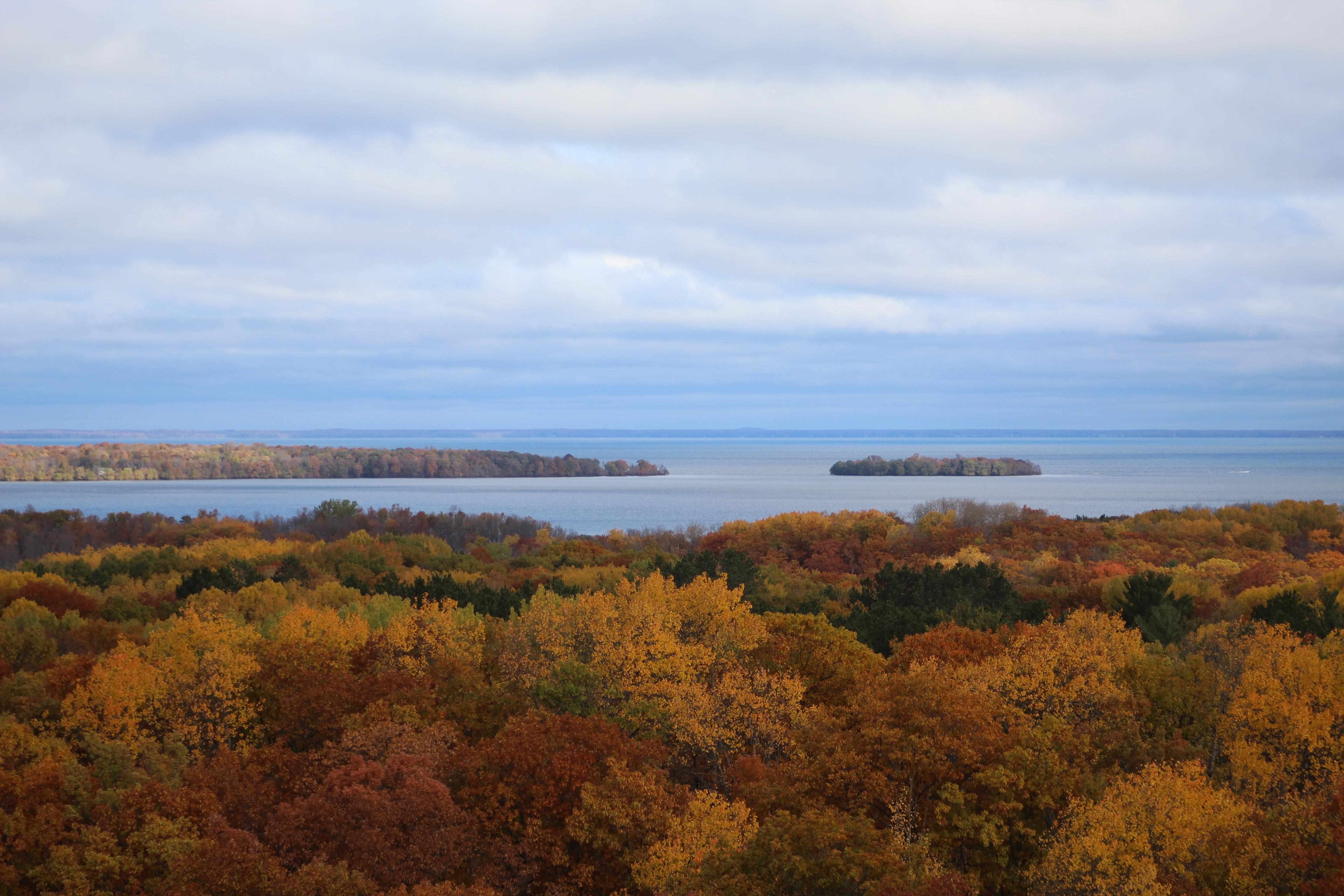 The view from the observation tower at Mille Lacs Kathio State Park