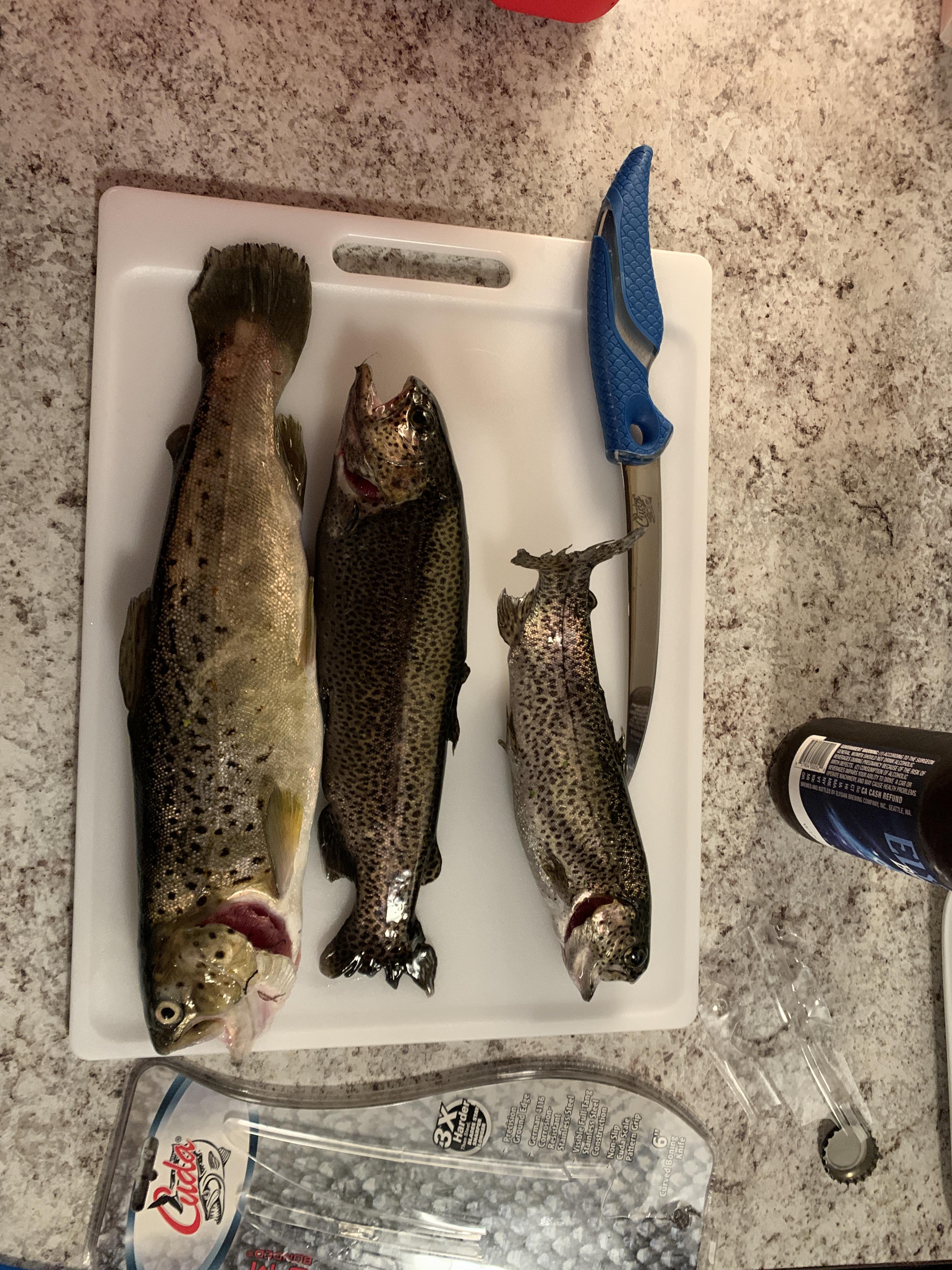 First trout! Normally I fish saltwater, decided to give stocked trout a