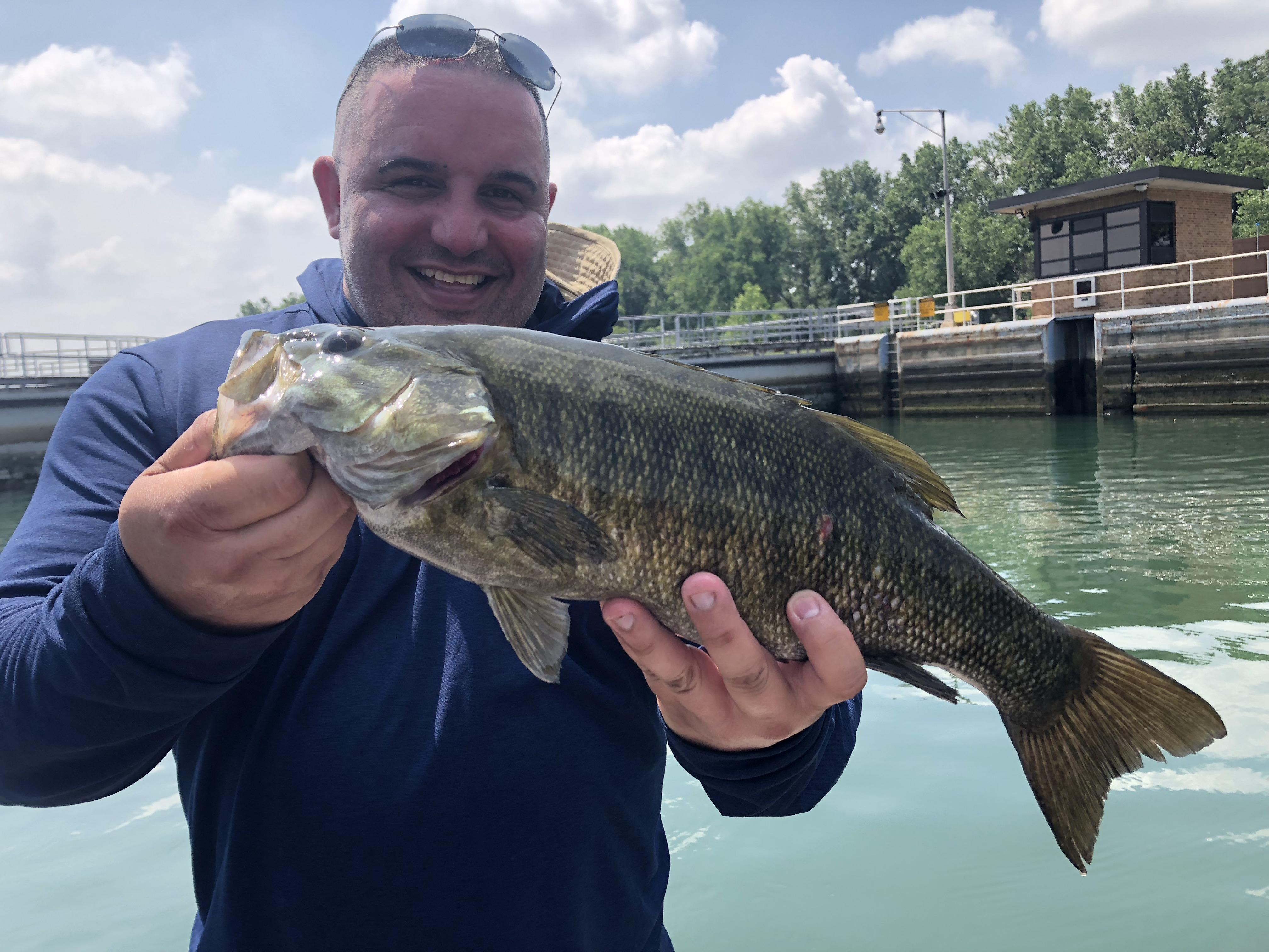 Nice smallmouth from southern Lake Michigan! r/bassfishing
