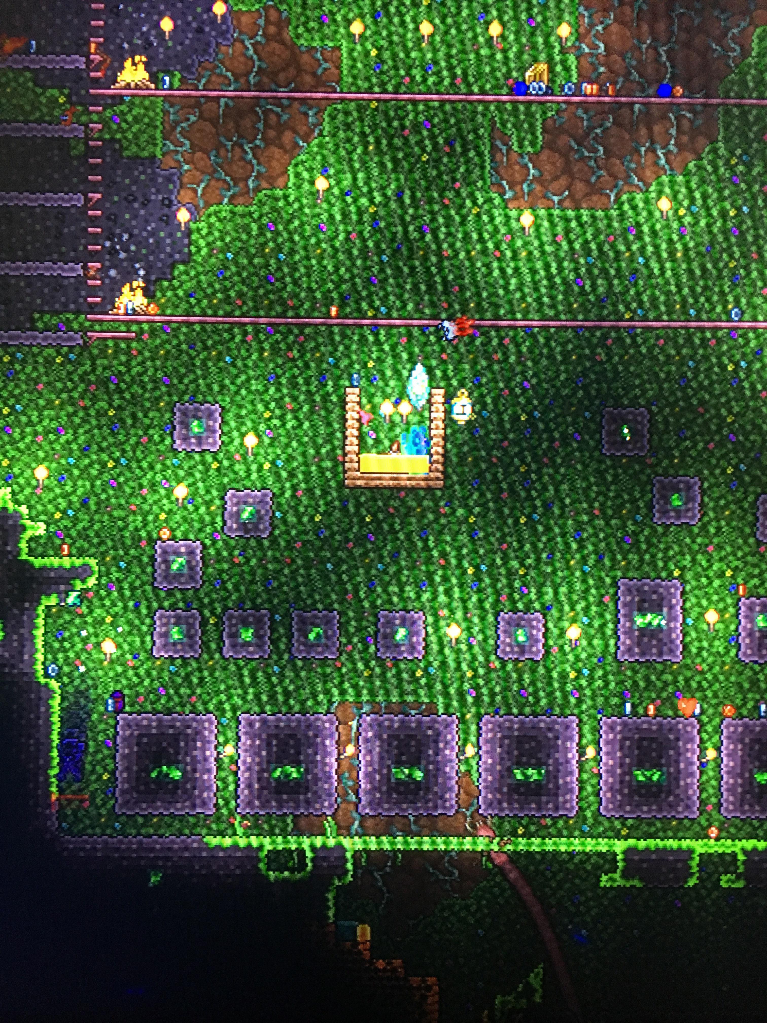 Will this grow Chlorophyte? (Sorry for the mess, just testing out some