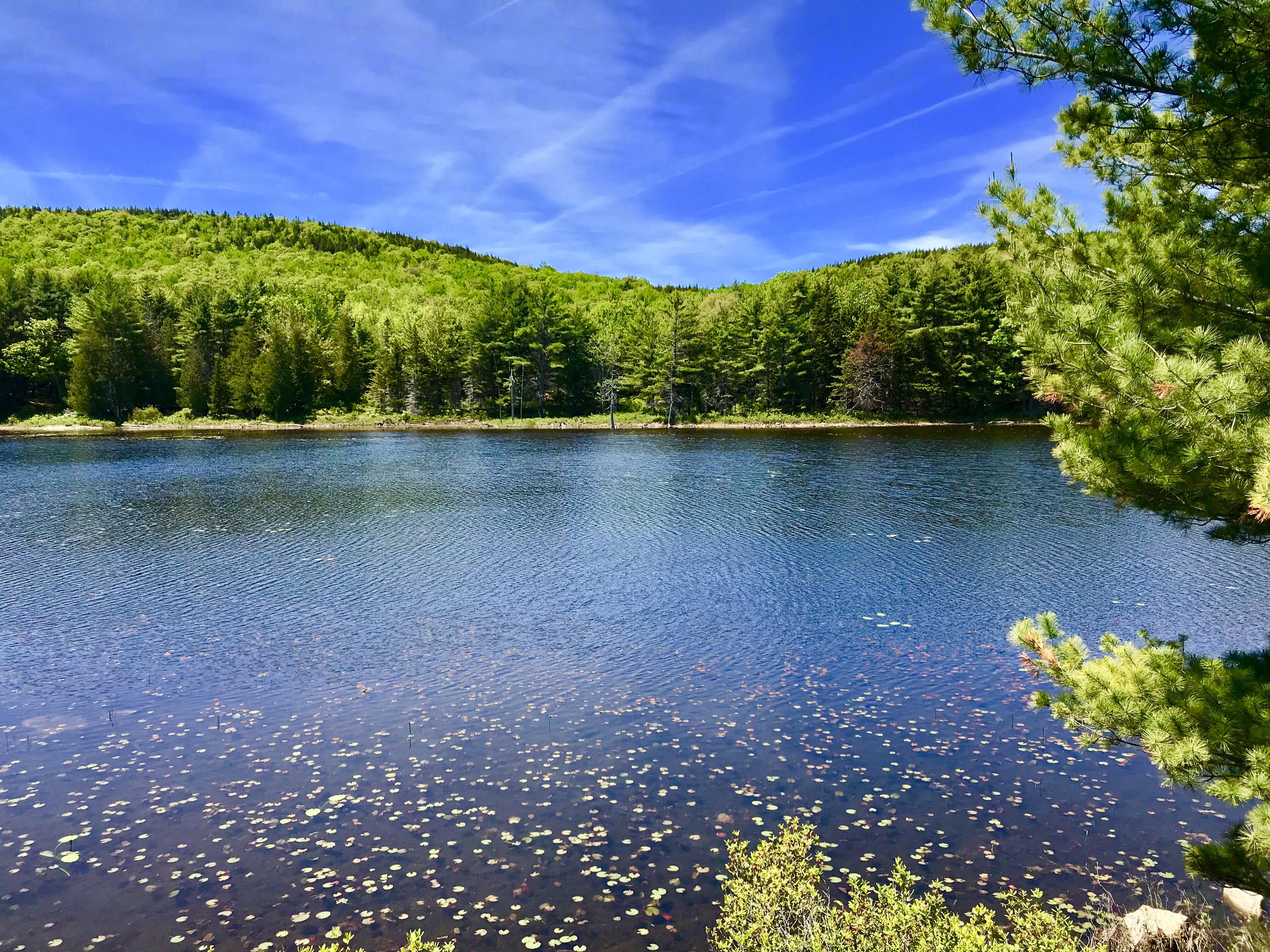 Arcadia Park [3264x2448] (OC) r/EarthPorn