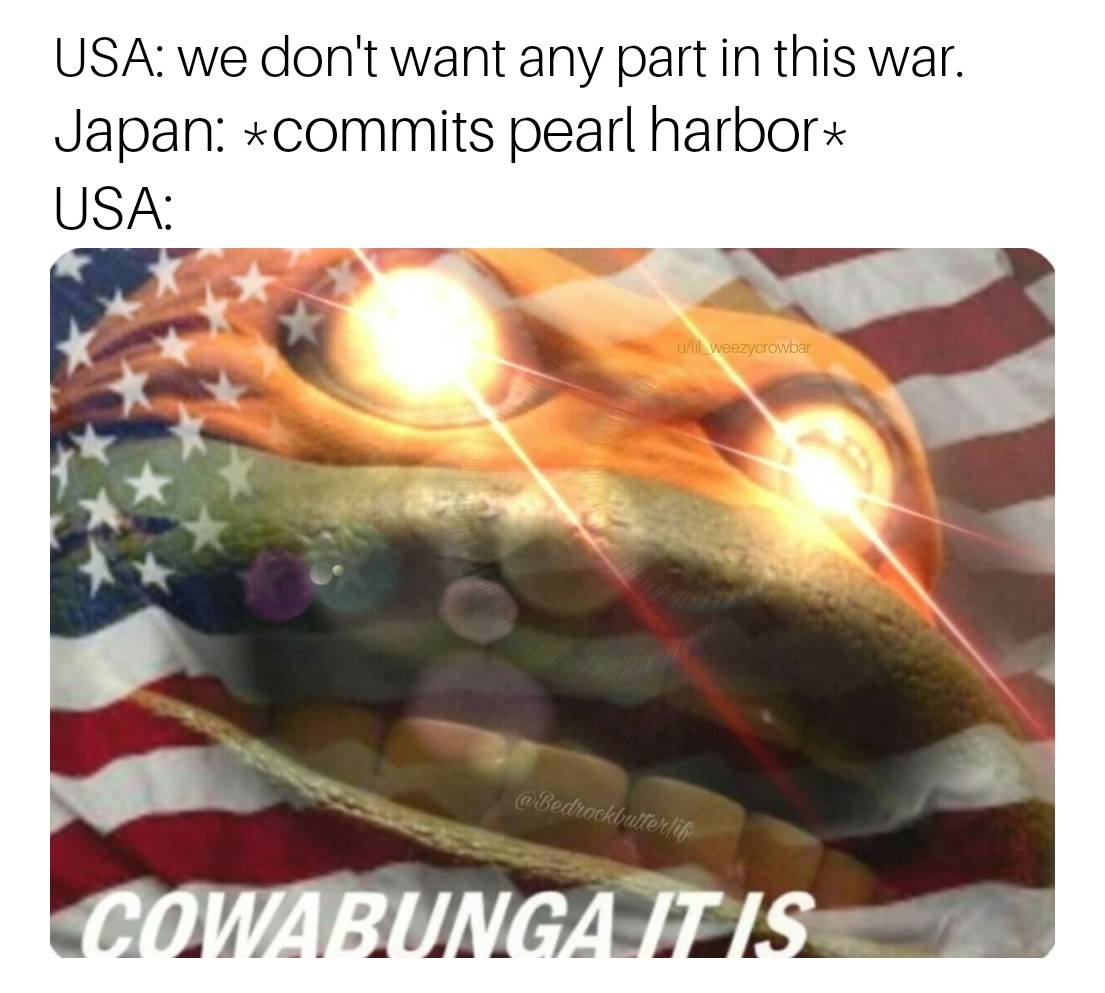 Cowabunga it is r/HistoryMemes